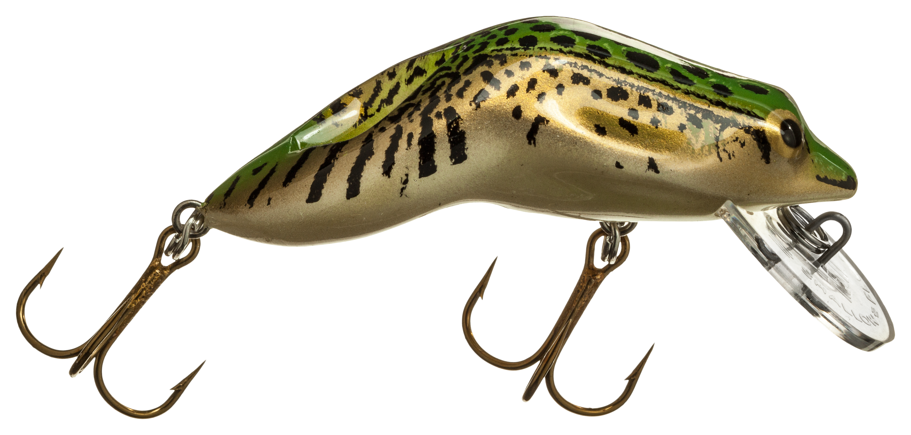 10063089 Rebel Wee Frog - Northern Leopard Frog sku 10063089