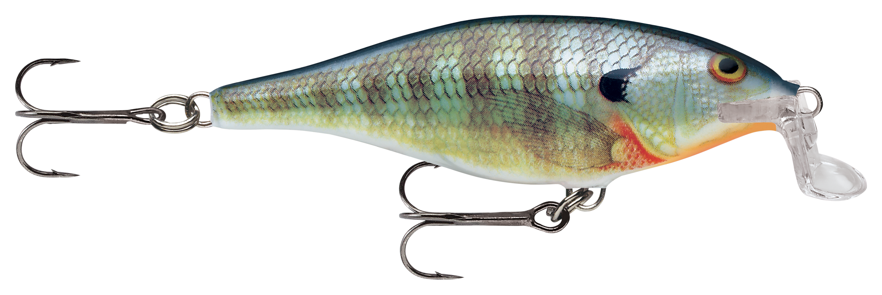 Image of Rapala Super Shad Rap - 5-1/2″ - Bluegill