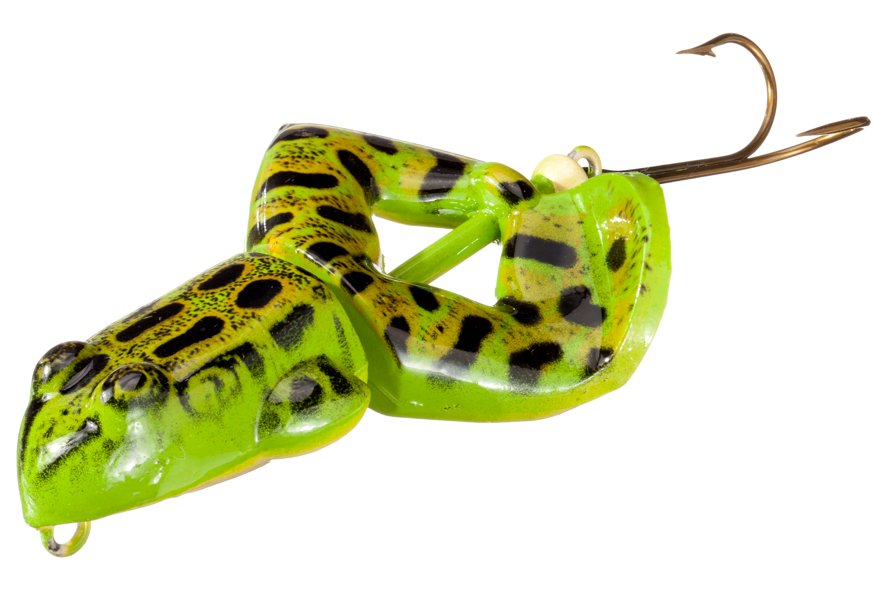 Rebel Buzzn Frog - Northern Leopard Frog