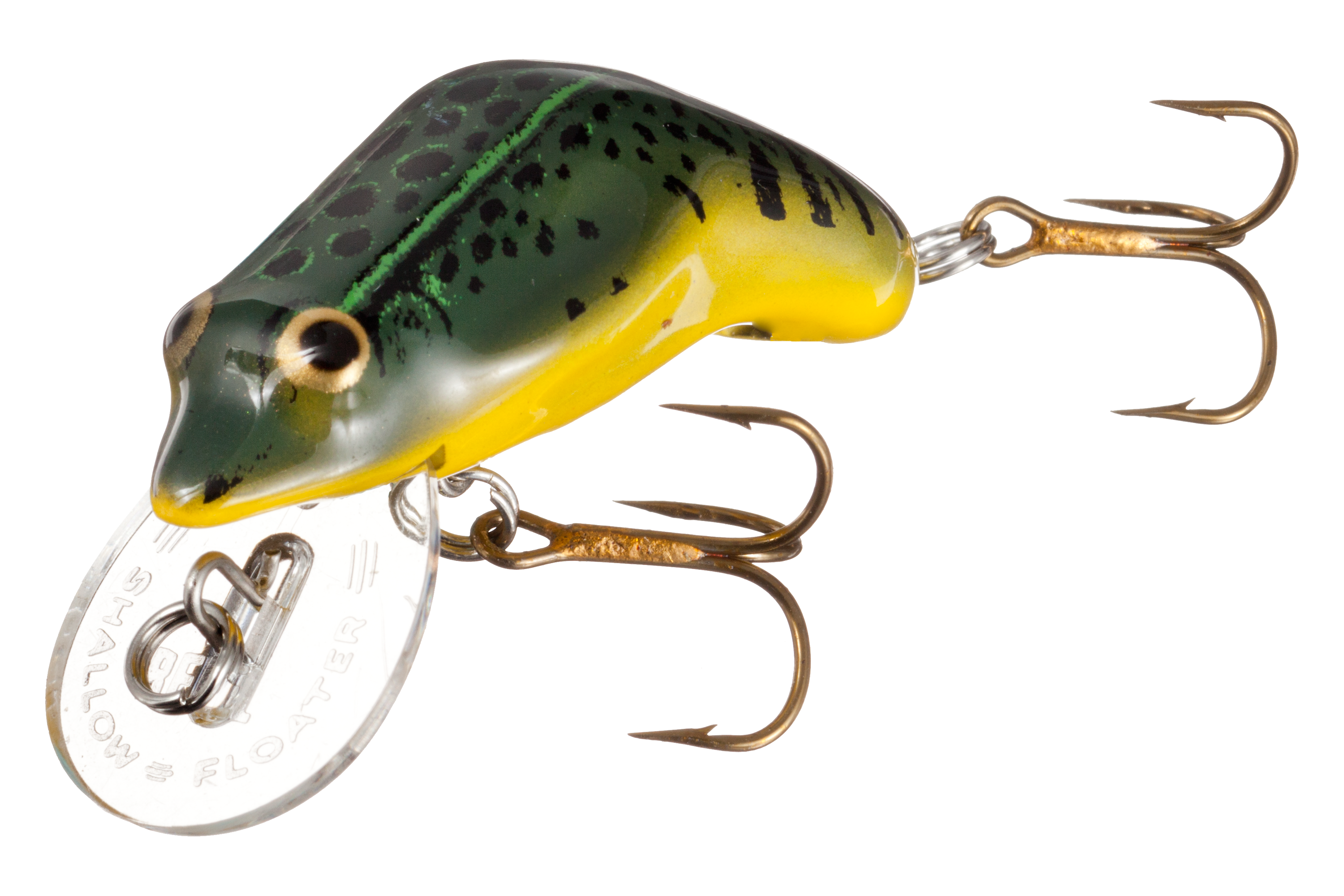 Rebel Wee Frog - Green Bull Frog