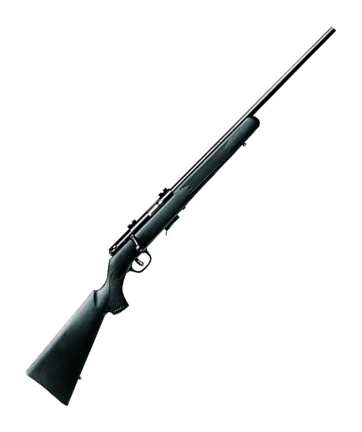 Savage 93R17F wBlue Barrel Synthetic Stock Rifle