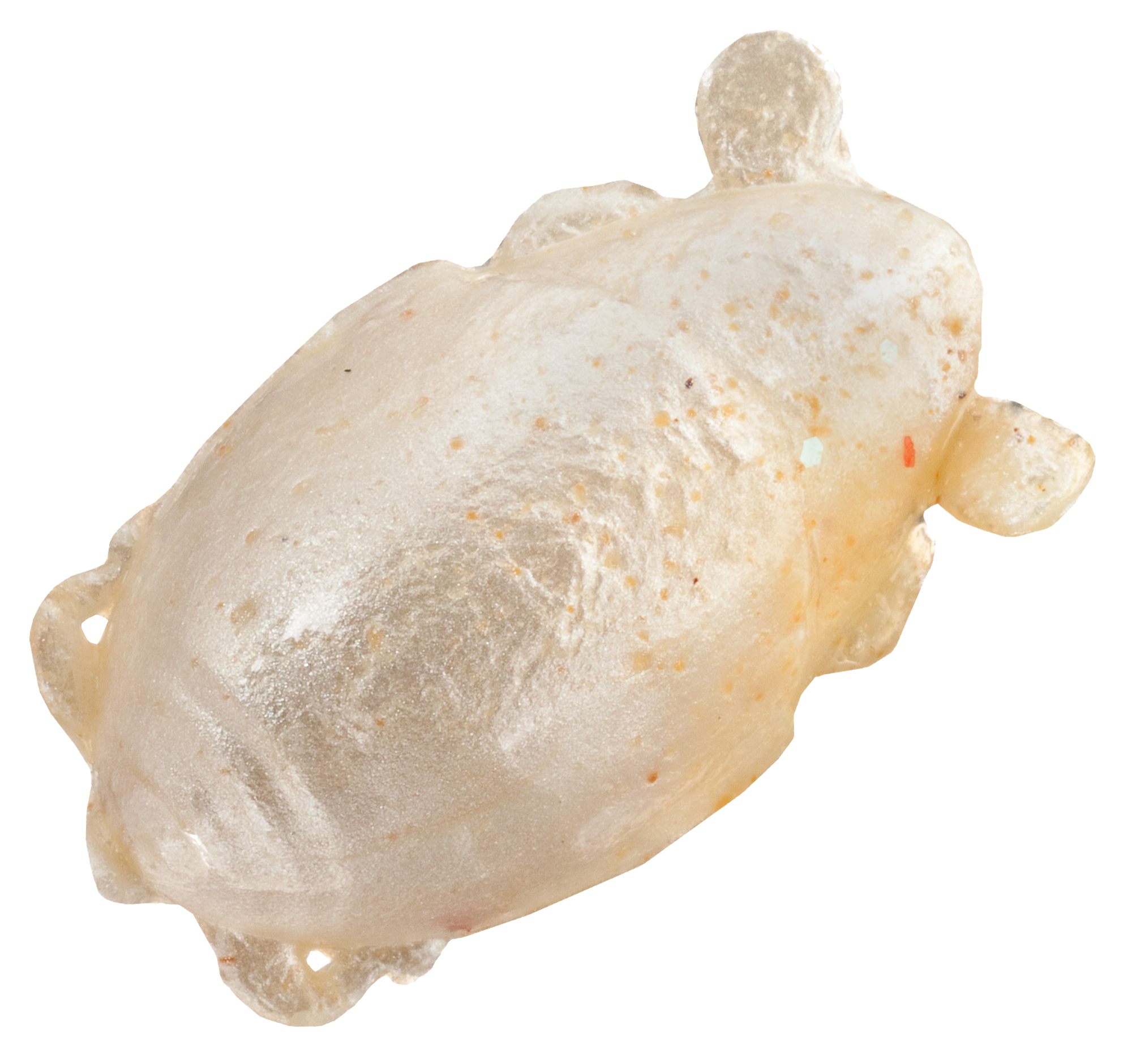 Berkley Saltwater Gulp! Sand Crab/Flea - 1 - Amber Glow - 1399311 - Outdoors The Berkley Gulp! Saltwater Sand Crab/Flea offers  sku 1399311
