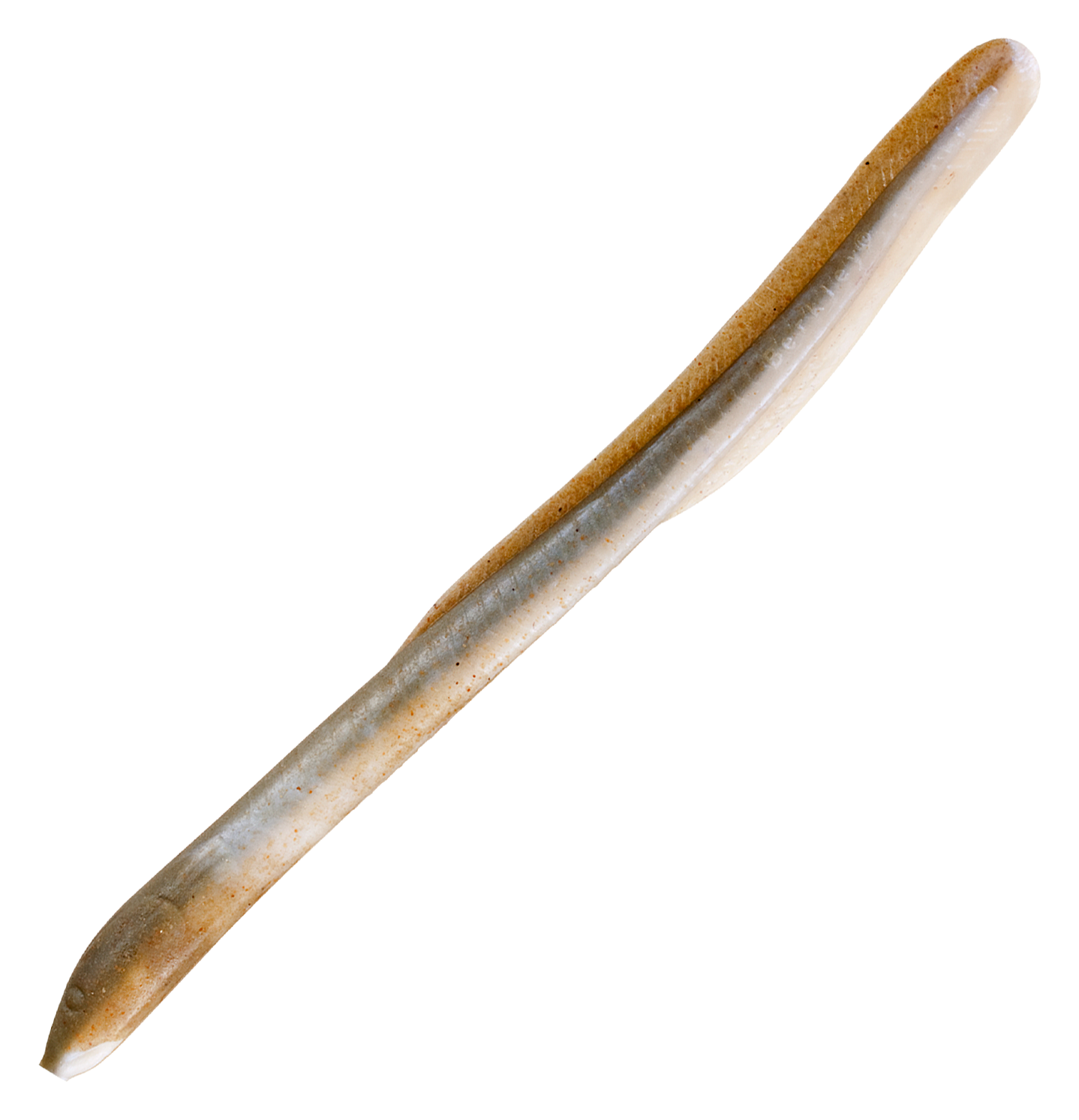 Image of Berkley Saltwater Gulp! Eel - 10″ - Natural Eel