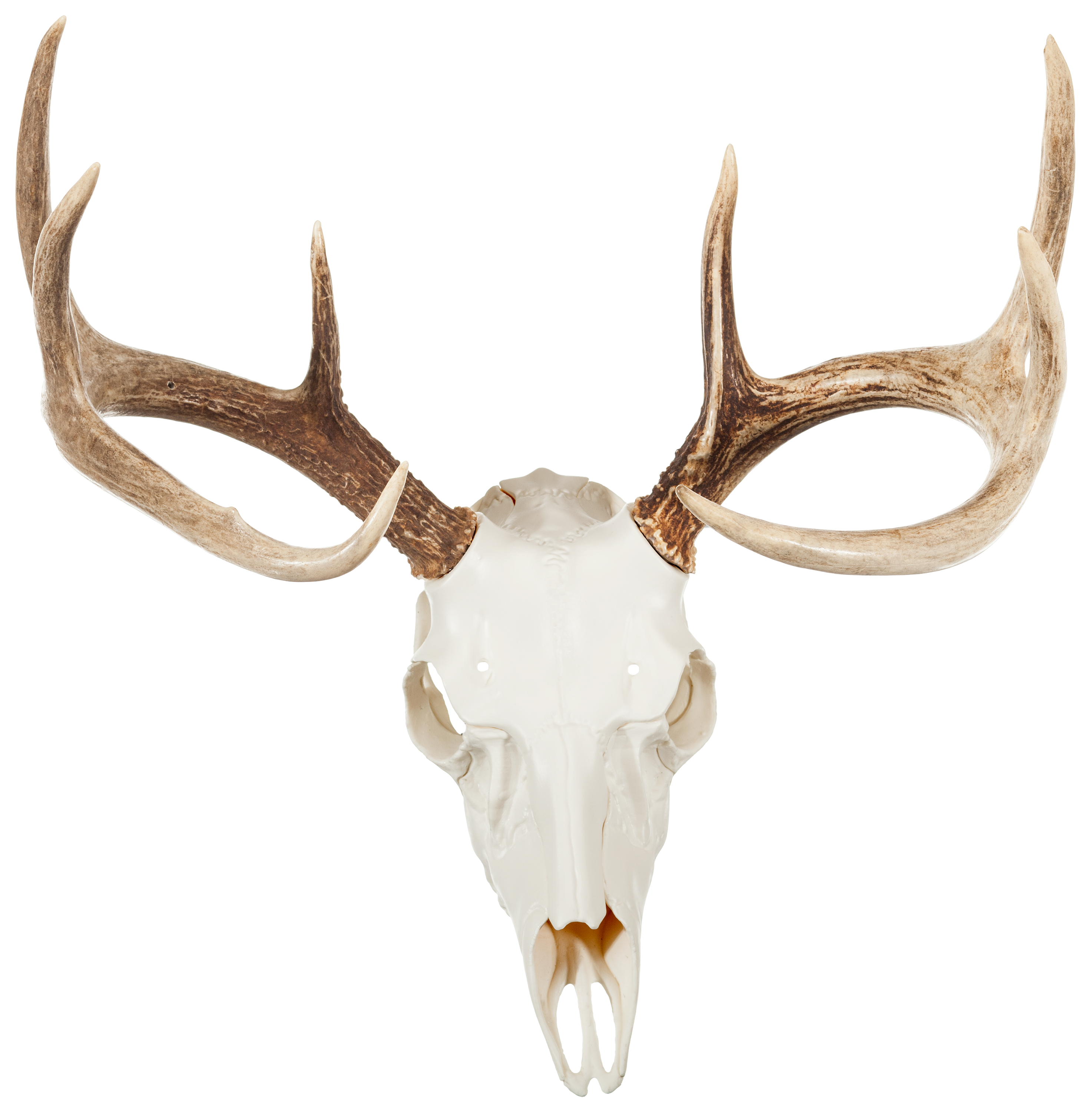 Mountain Mike's Reproductions Skull Master Antler Kit - Mountain Mike's Reproductions