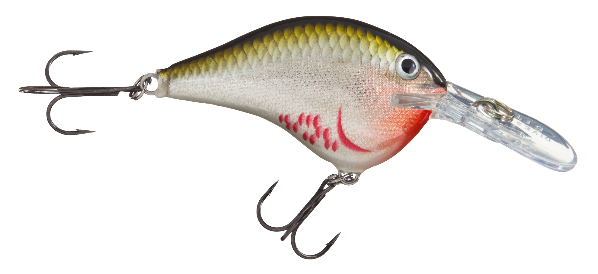 Image of Rapala DT Dives-To Series Crankbait - Bleeding Olive Shiner - 2″ - 3/8 oz. - 6'