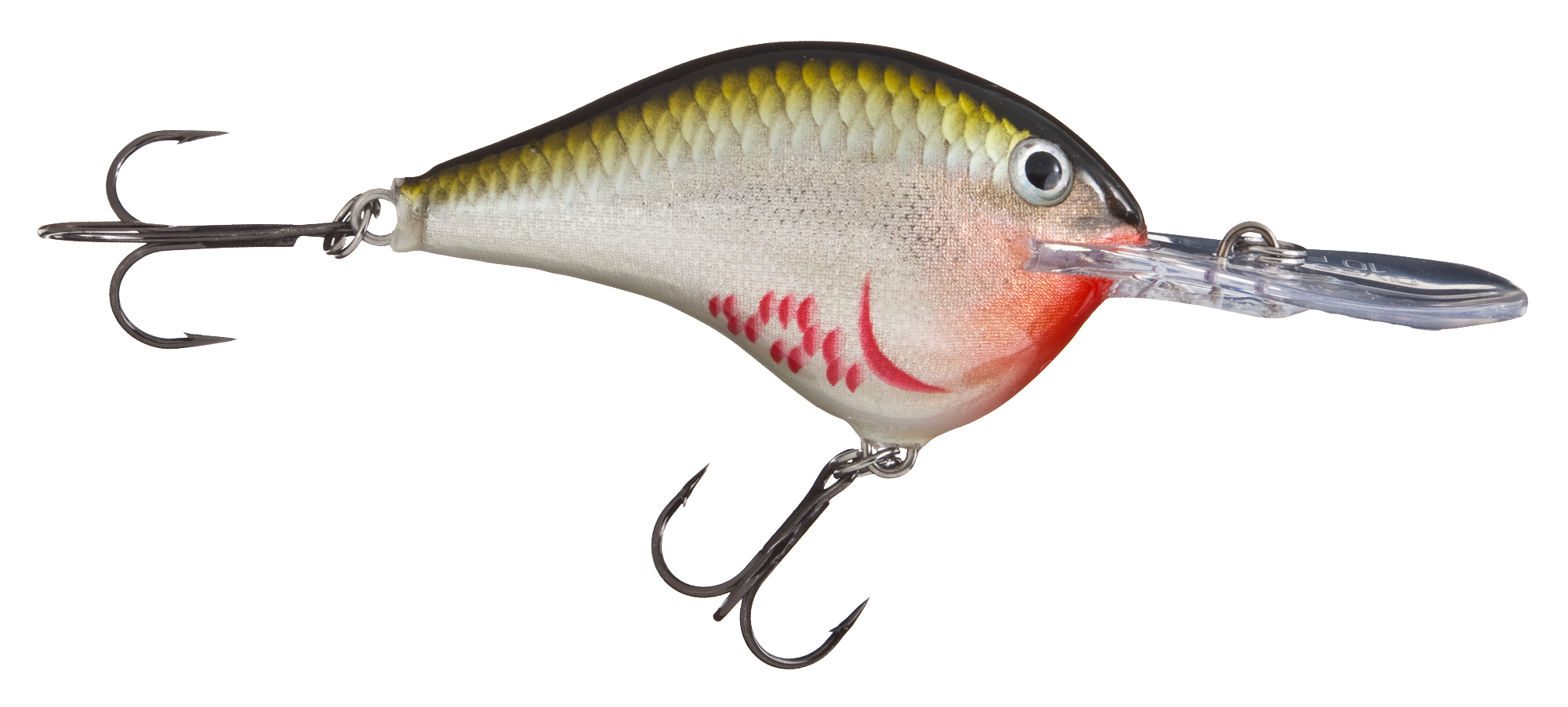 Image of Rapala DT Dives-To Series Crankbait - Bleeding Olive Shiner - 2-1/4″ - 3/5 oz. - 10'