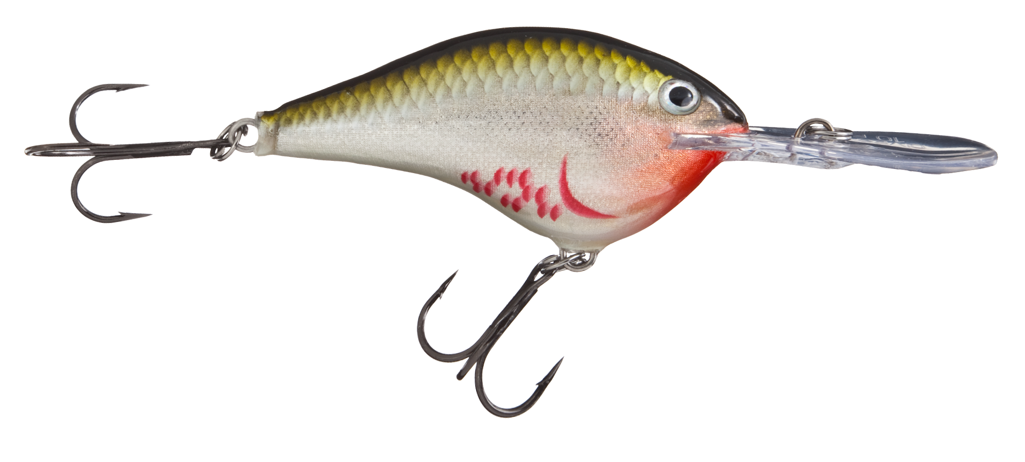 Image of Rapala DT Dives-To Series Crankbait - Bleeding Olive Shiner - 2-3/4″ - 3/4 oz. - 16'