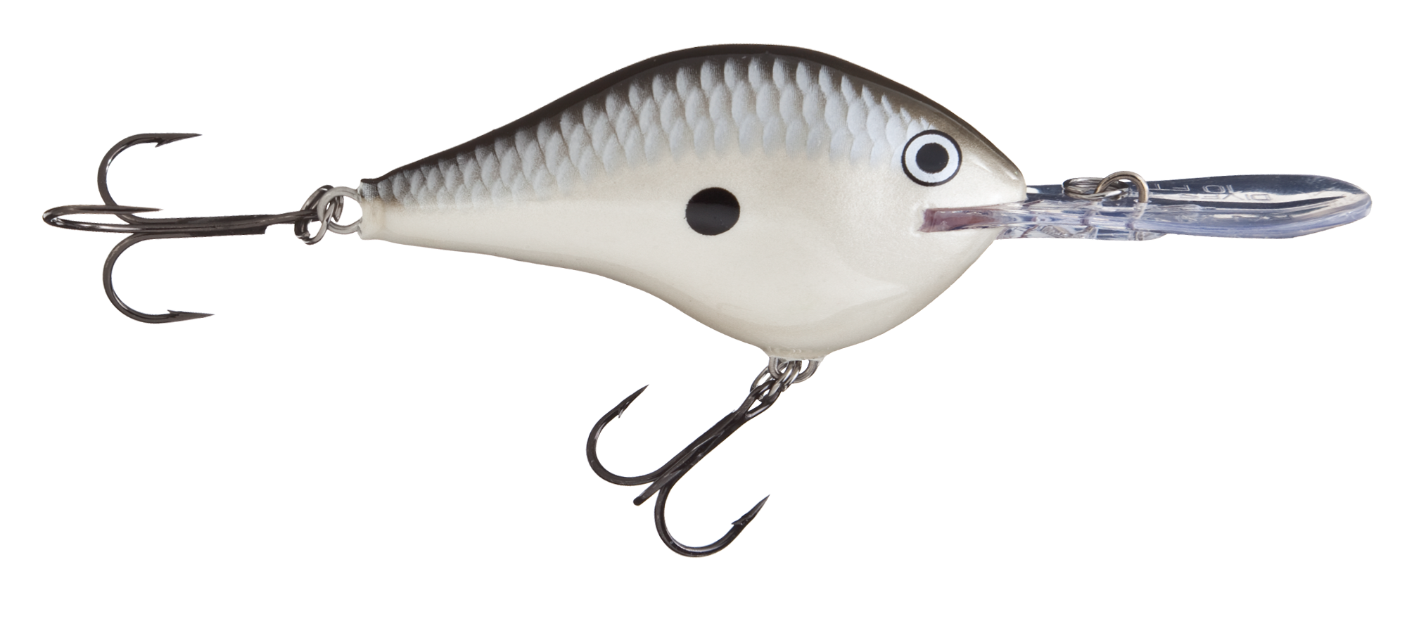 Image of Rapala DT Dives-To Series Crankbait - Pearl Gray Shiner - 2-3/4″ - 3/4 oz. - 16'