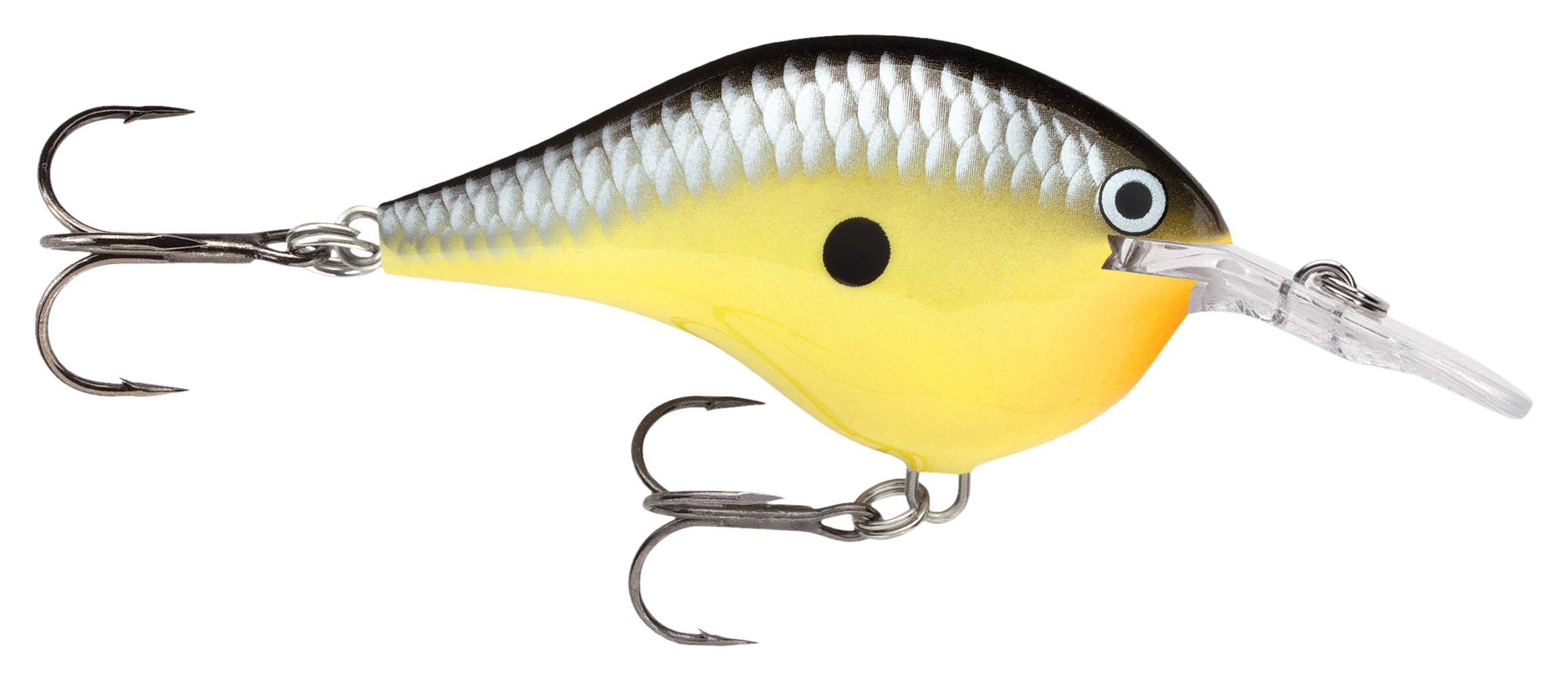 Image of Rapala DT Dives-To Series Crankbait - Old School - 2″ - 5/16 oz. - 4'