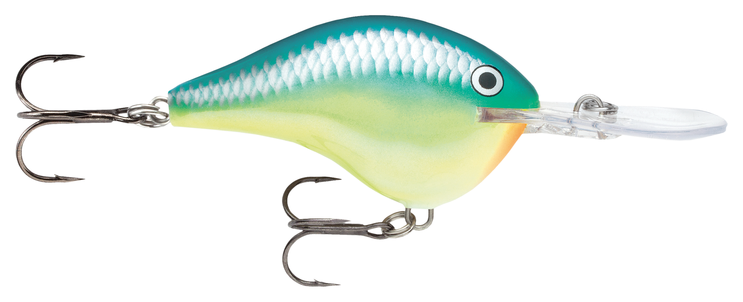 Image of Rapala DT Dives-To Series Crankbait - Caribbean Shad - 2-1/4″ - 3/5 oz. - 10'