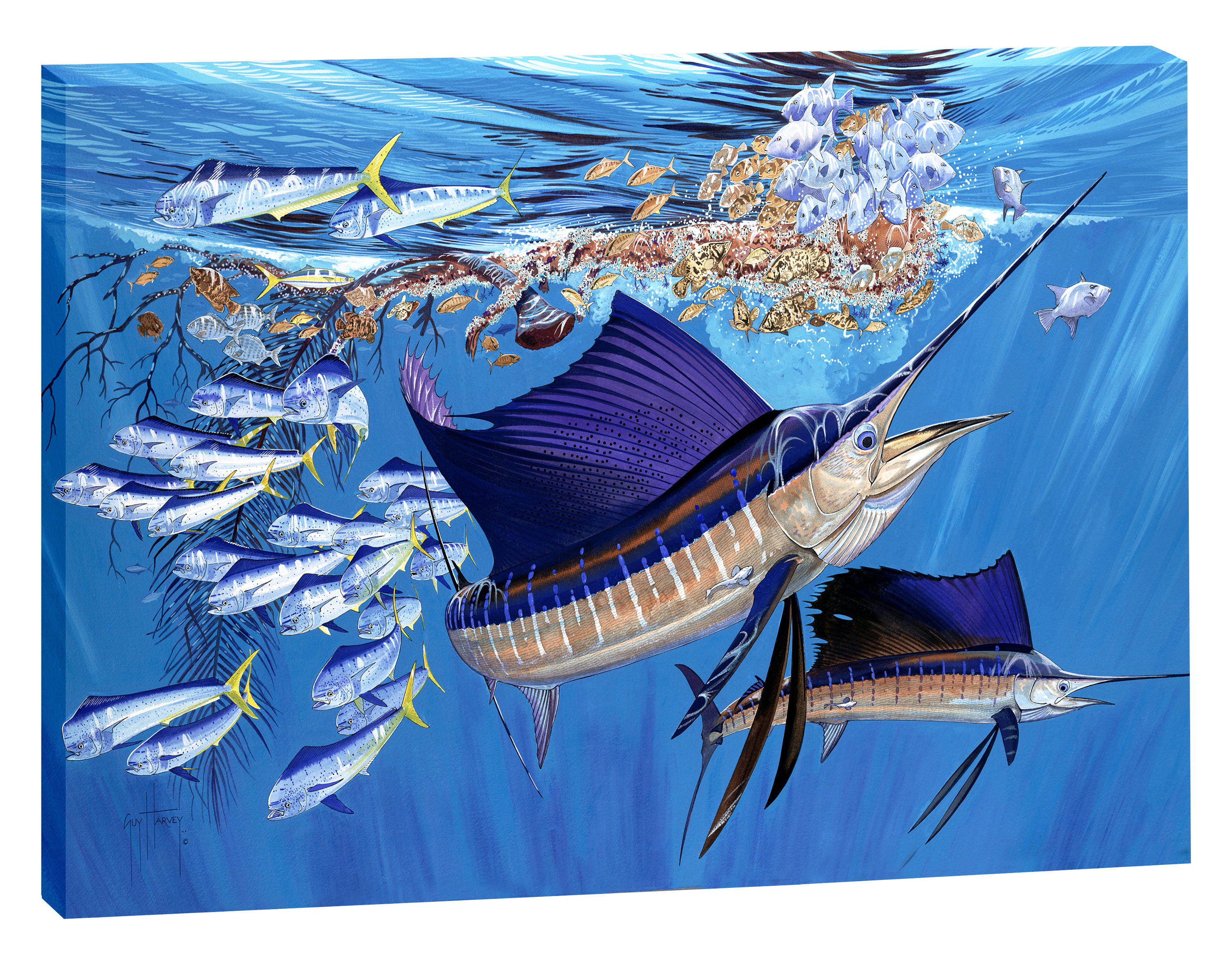 Guy Harvey Oasis in Blue Canvas Art
