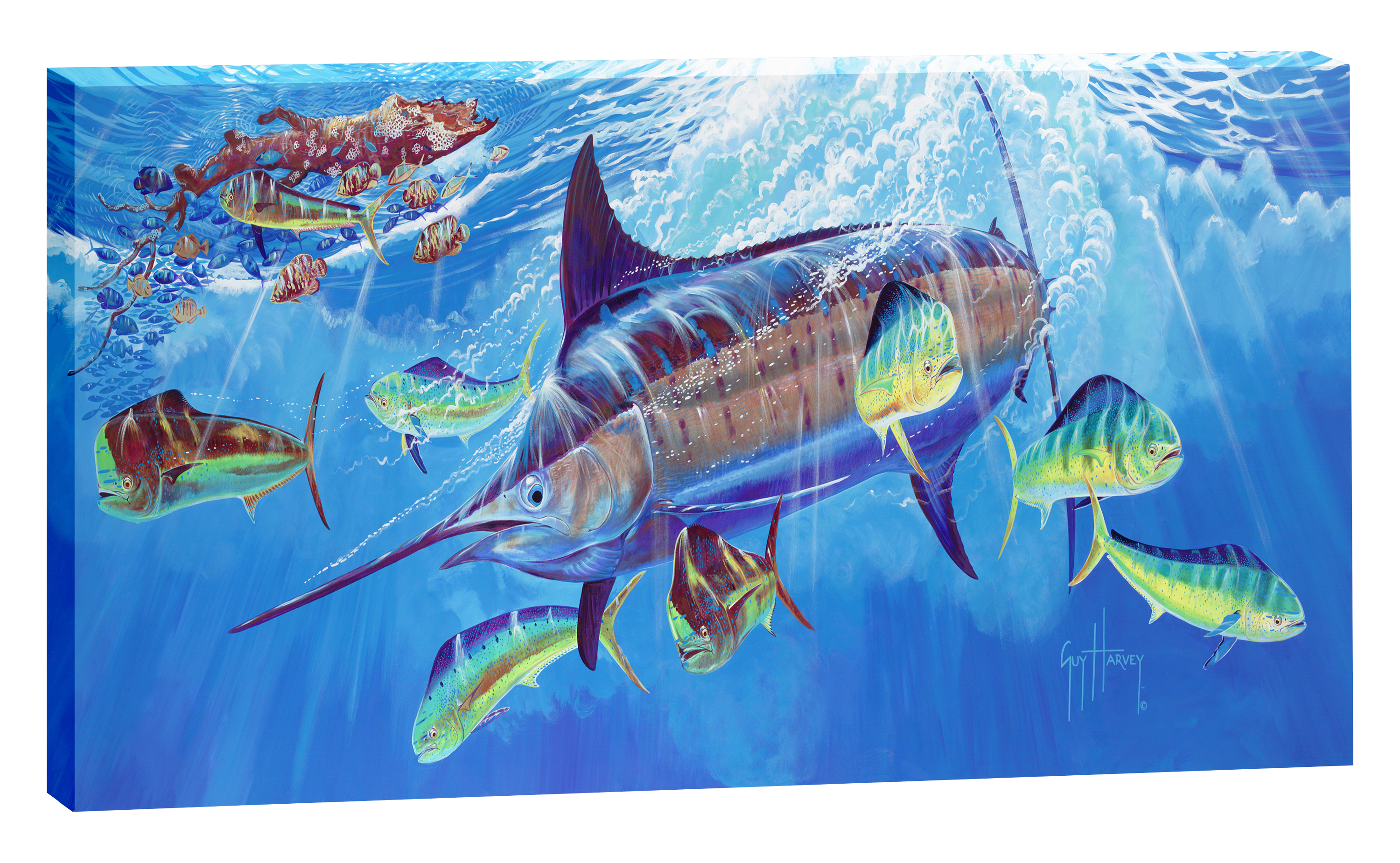 Guy Harvey Depth Charge Canvas Art