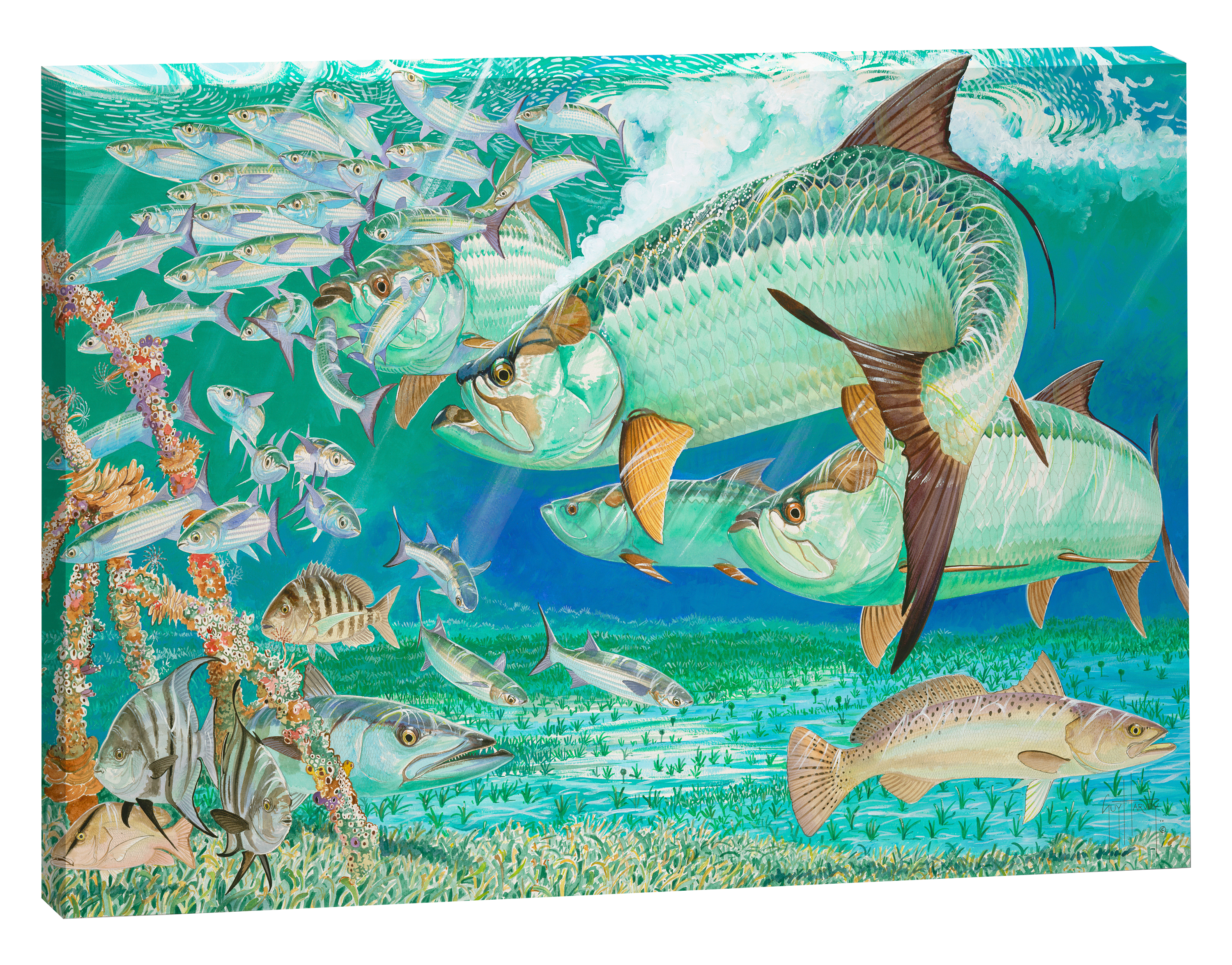 Guy Harvey King of the Flats Canvas Art