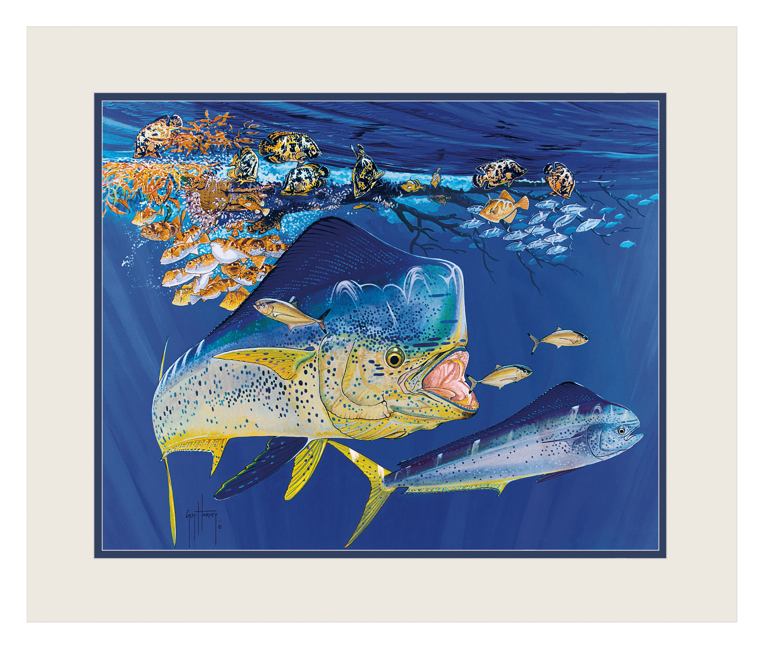 Guy Harvey Double Matted Dolphin Summer Mini Print