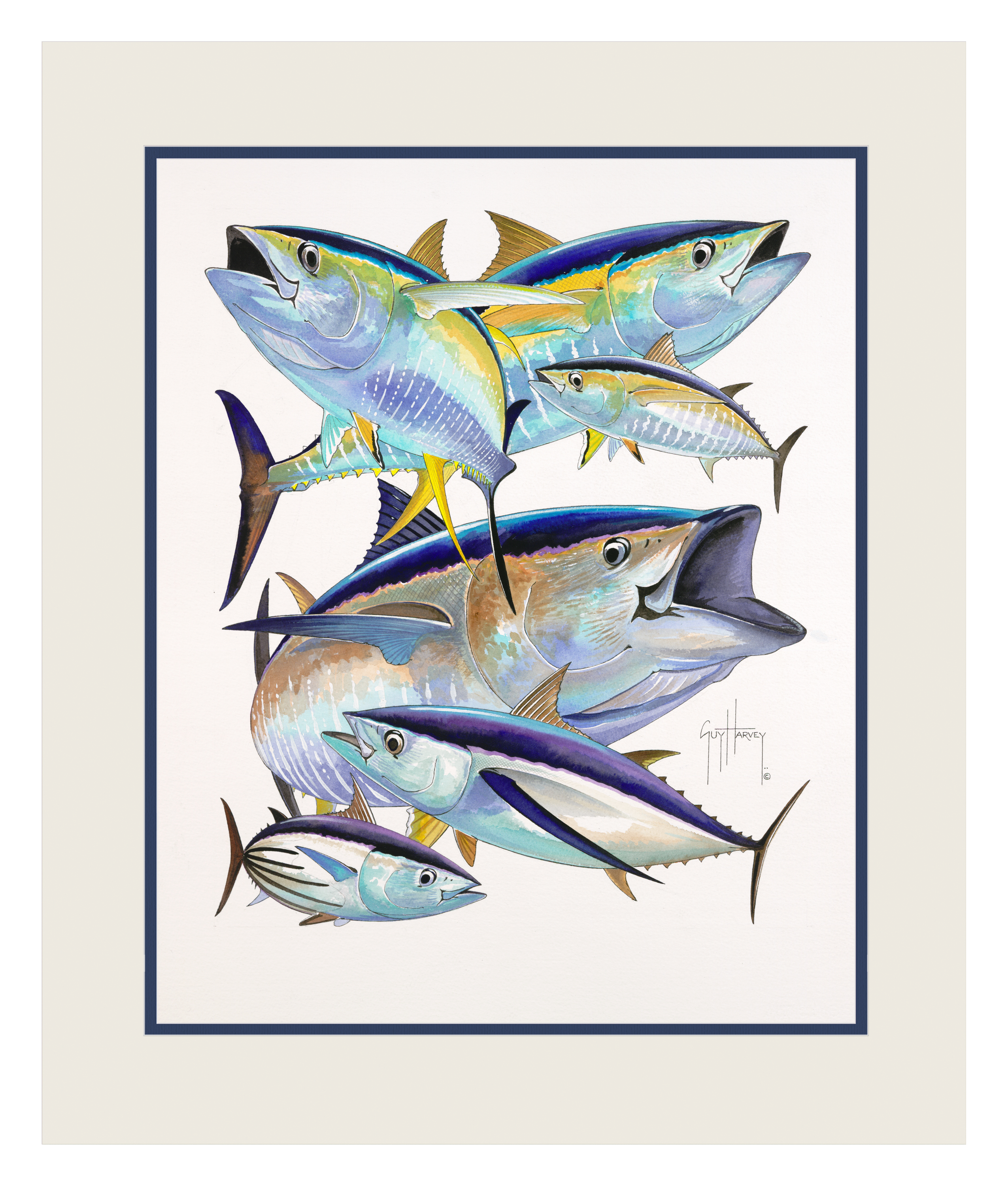 Guy Harvey Tuna Collage Double Matted Mini Print