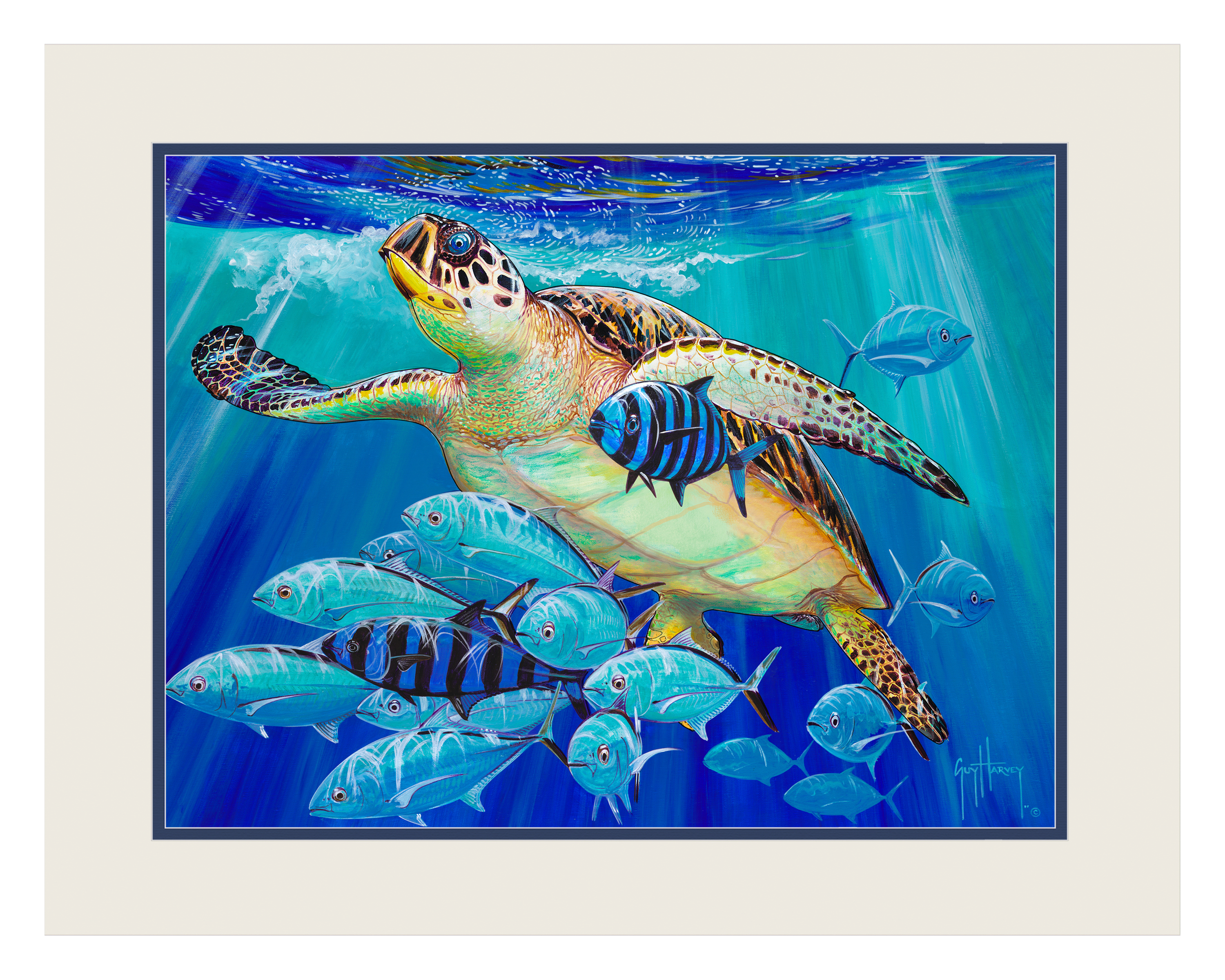 Guy Harvey Hawksbill Caravan Double Matted Mini Print