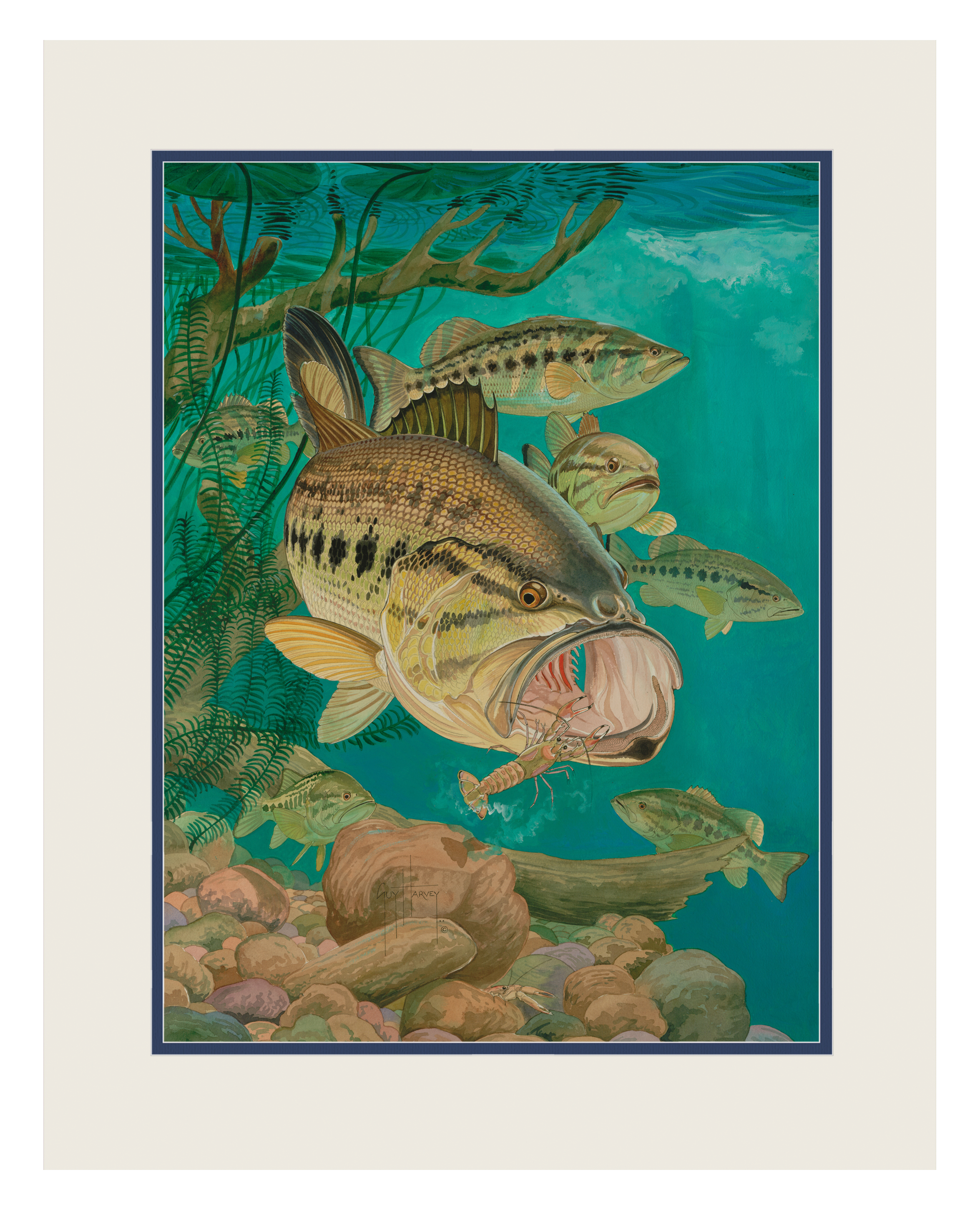 Guy Harvey Largemouth Bass Double Matted Mini Print