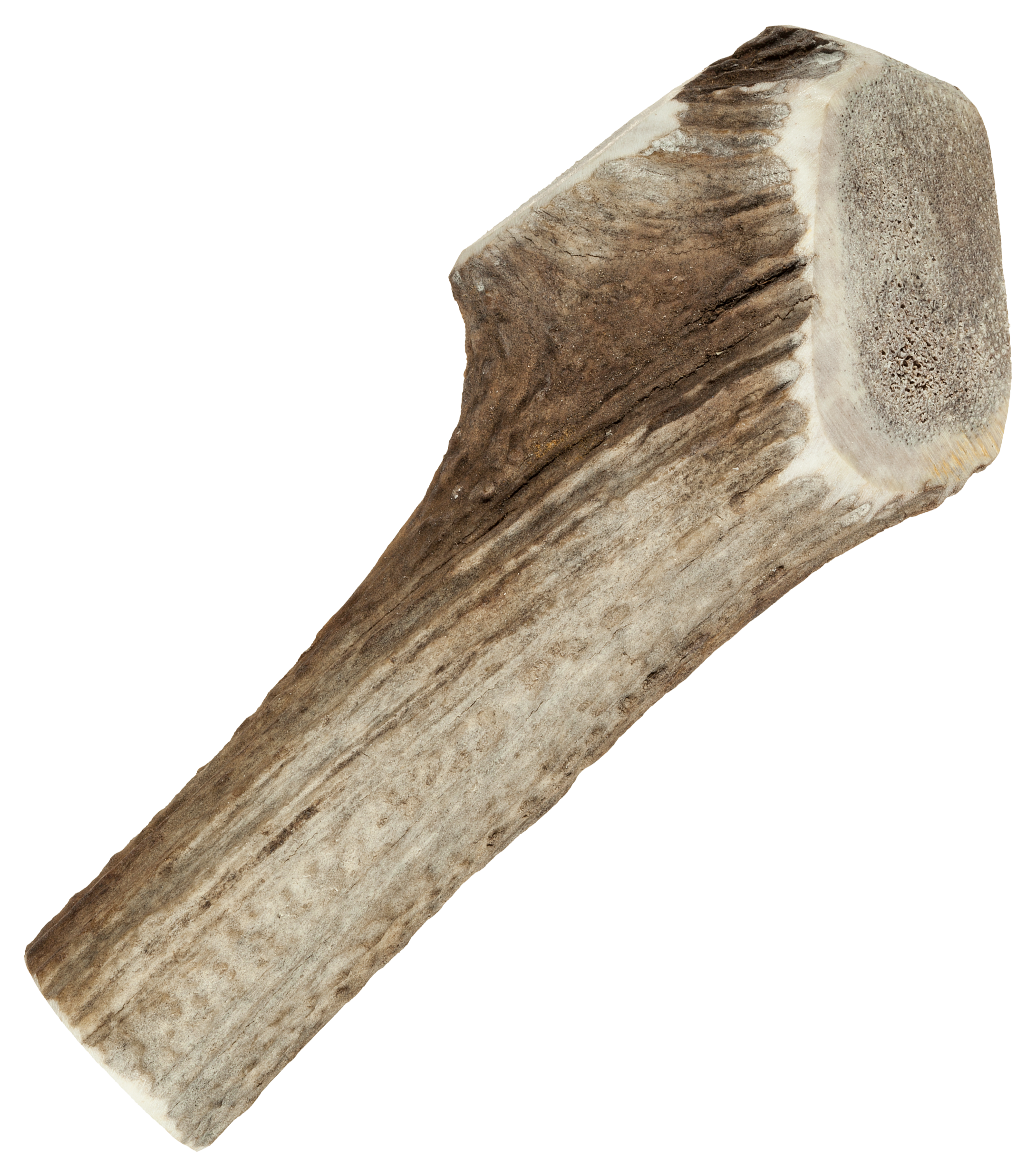 Scott Pet Products Big Sky Split Antler Chew - Scott Pet