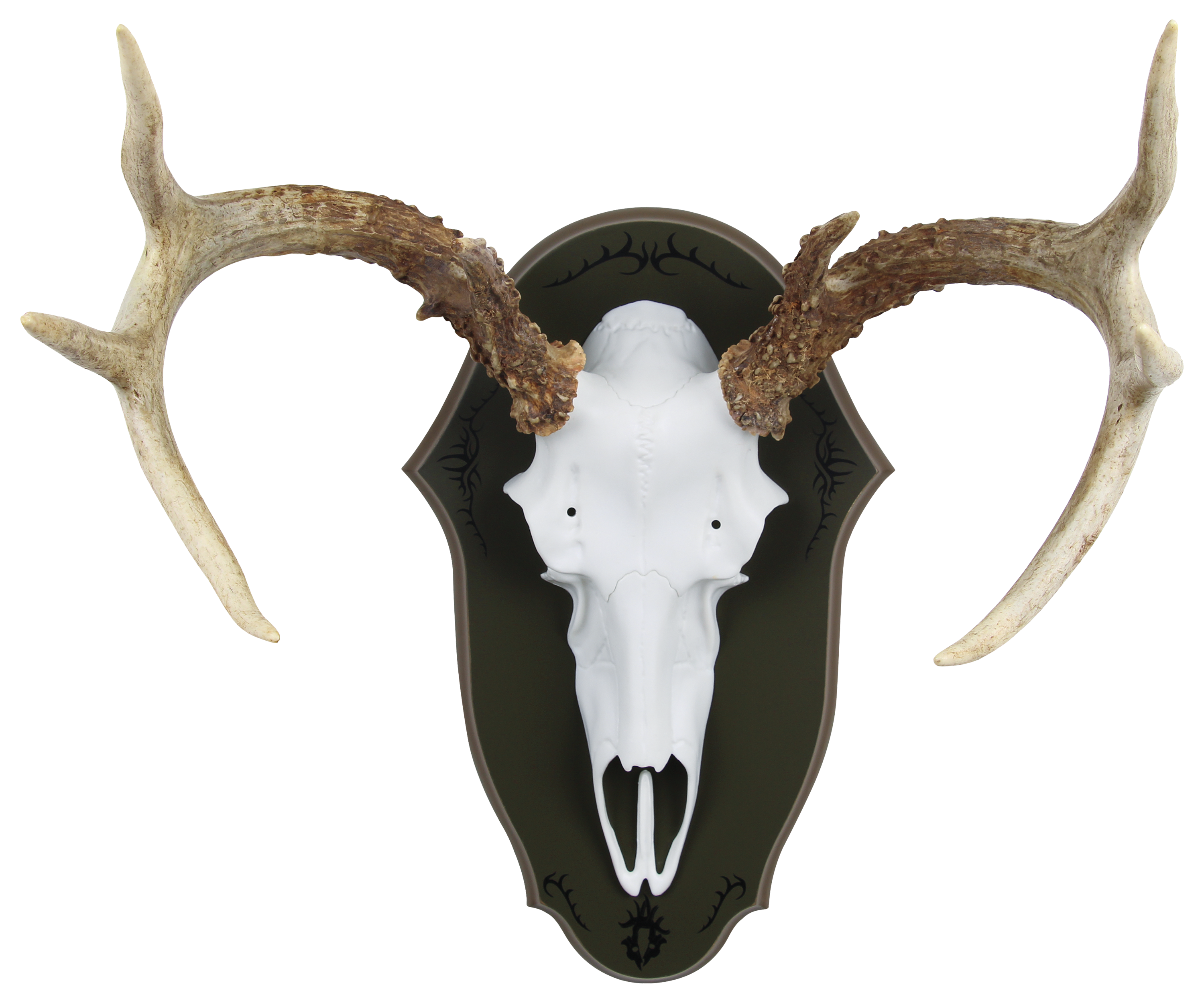 Mountain Mike's Reproductions Black Forest Mounting Antler Plaque - Mountain Mike's Reproductions