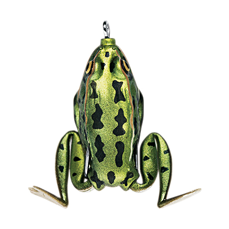 Lunkerhunt Pocket Frog - Green Tea