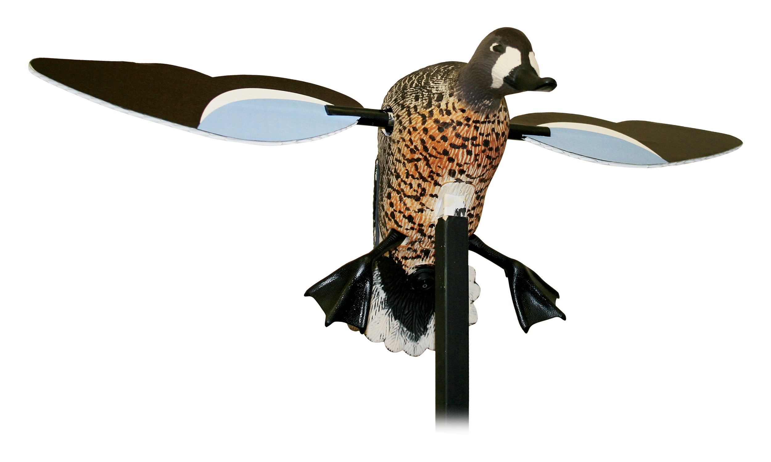 MOJO Outdoors Blue-Winged Teal Motorized Duck Decoy - MOJO