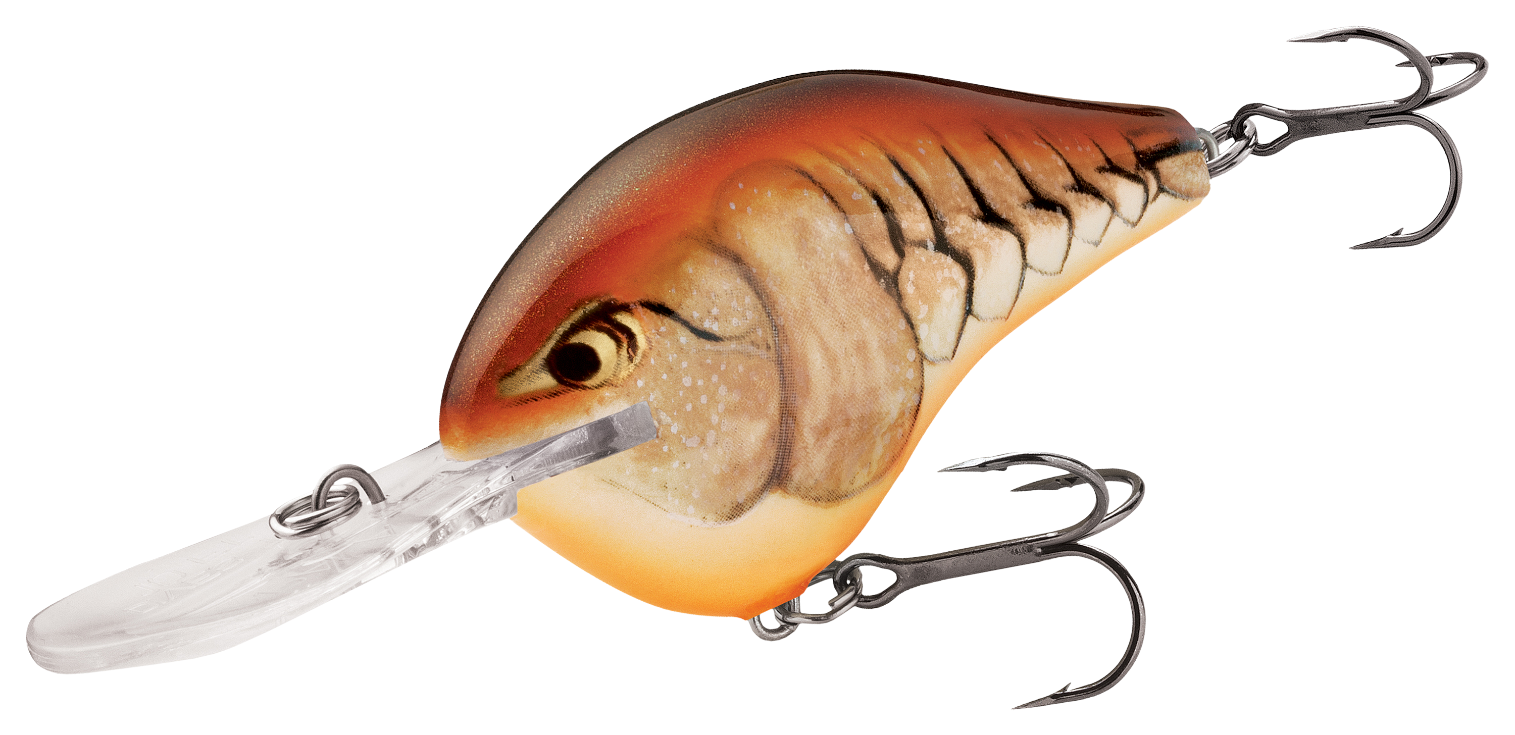 Image of Rapala DT Dives-To Series Crankbait - Mule - 2″ - 5/16 oz. - 4'