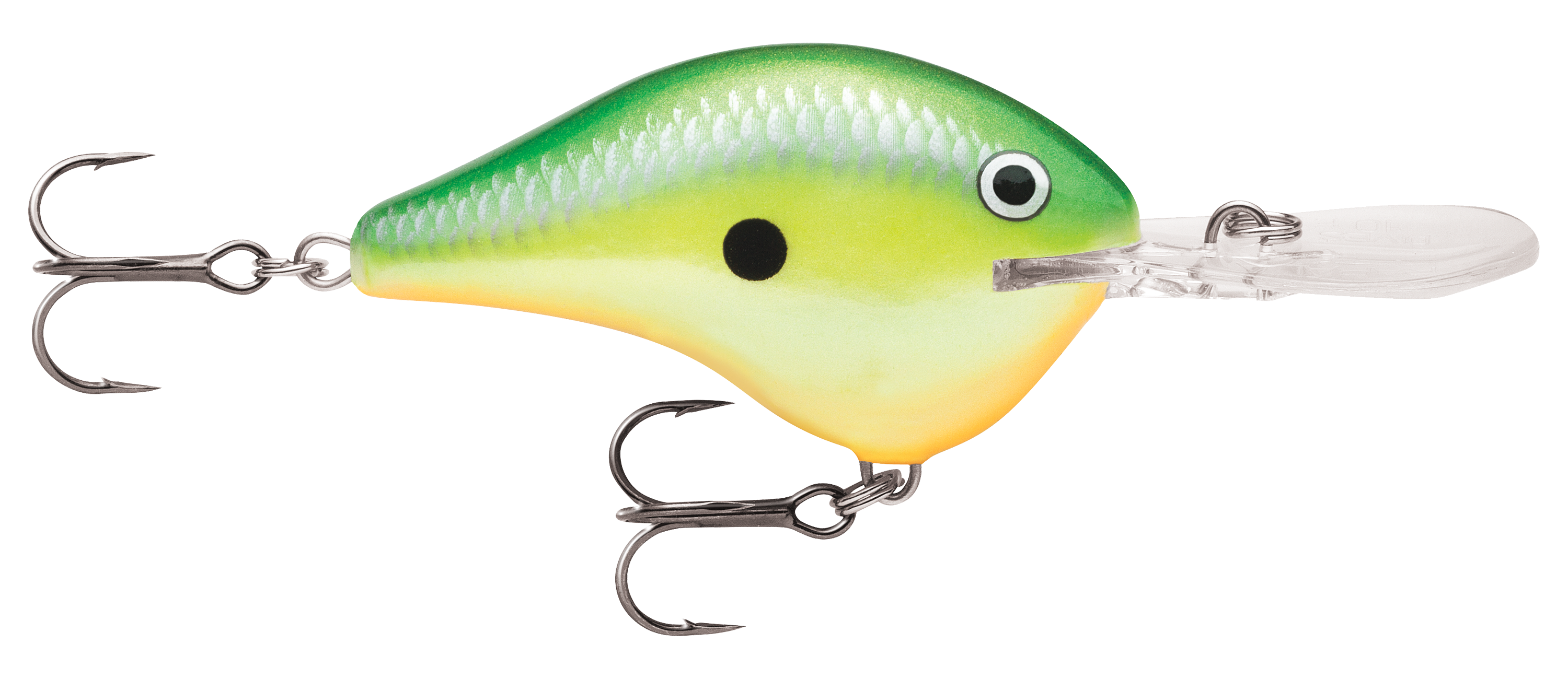 Image of Rapala DT Dives-To Series Crankbait - Rasta - 2″ - 3/8 oz. - 6'