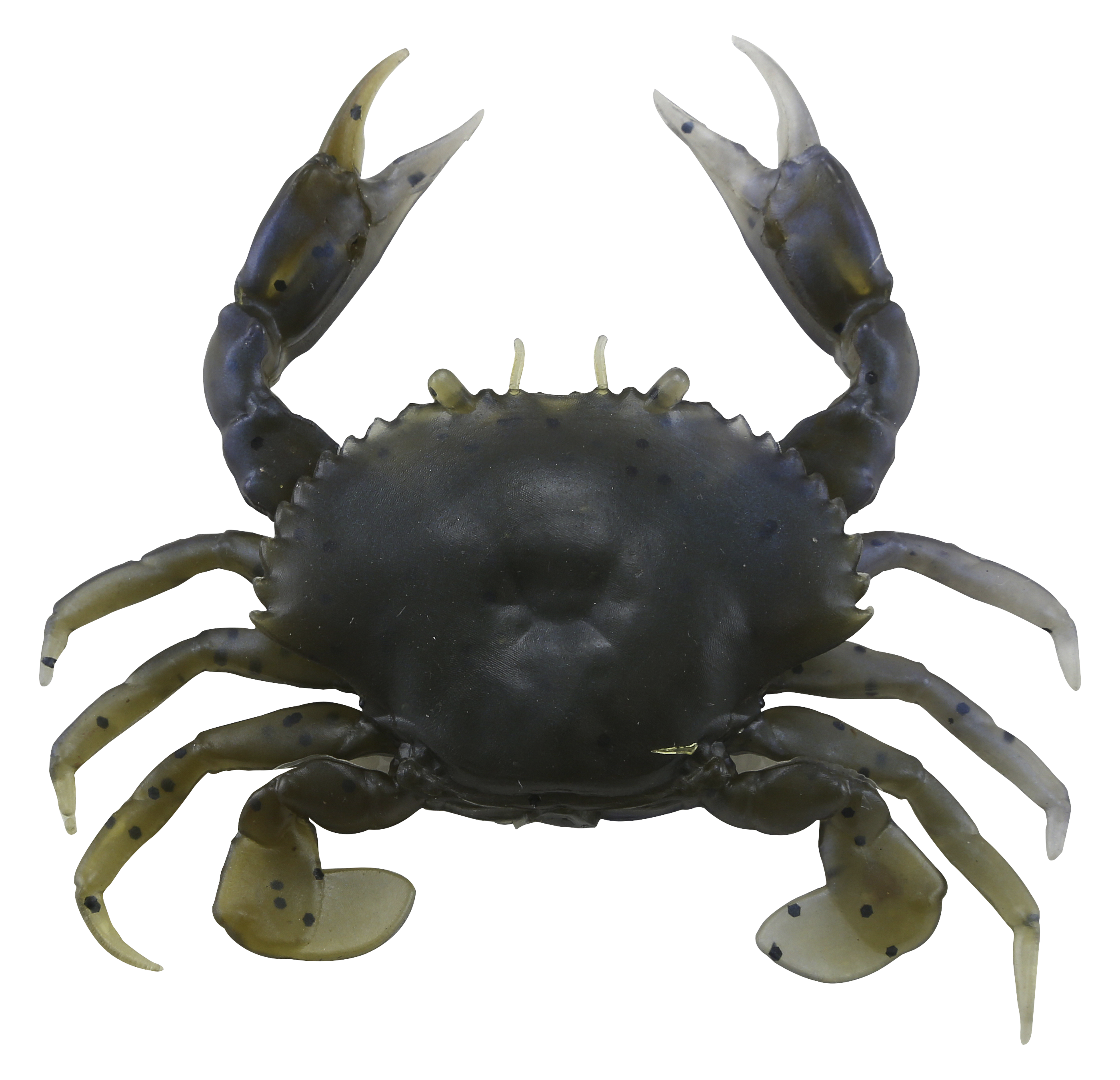 Image of Savage Gear PVC 3D Crab - Blue Crab - 1″