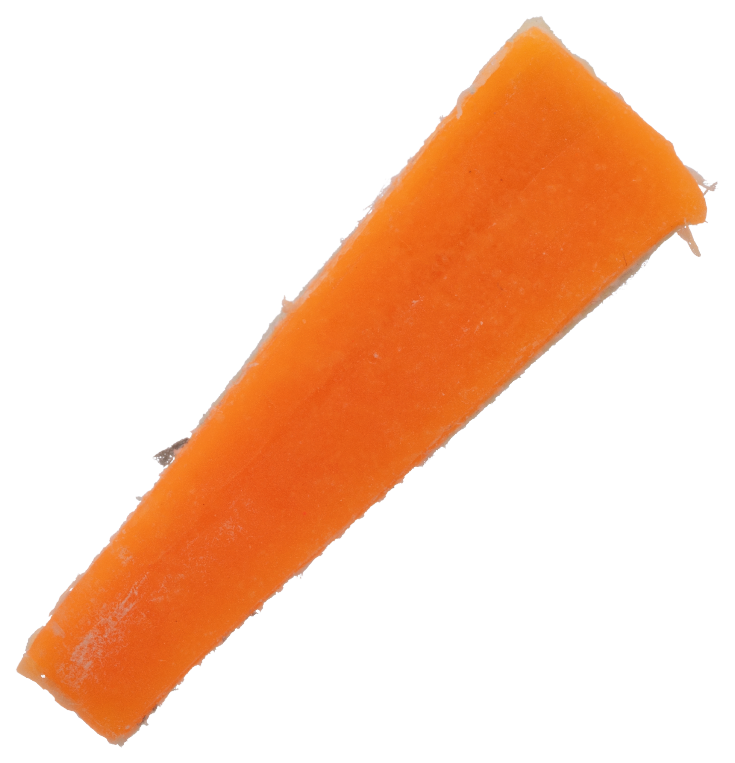 Fishbites Fishn Strips - Orange/Flesh - Sand Flea Flavor