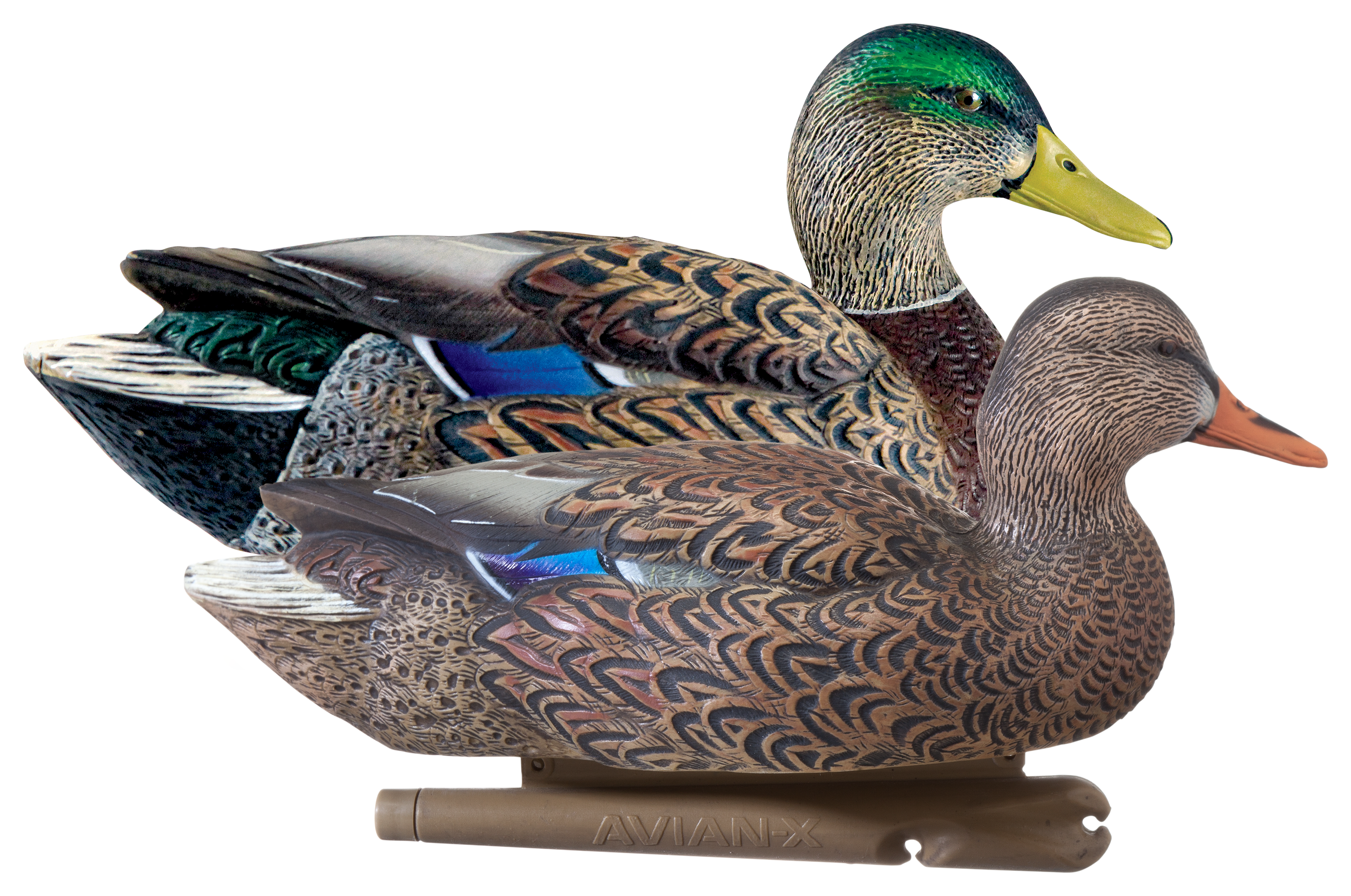 Avian-X Topflight Early Season Mallard Duck Decoys 6 Pack