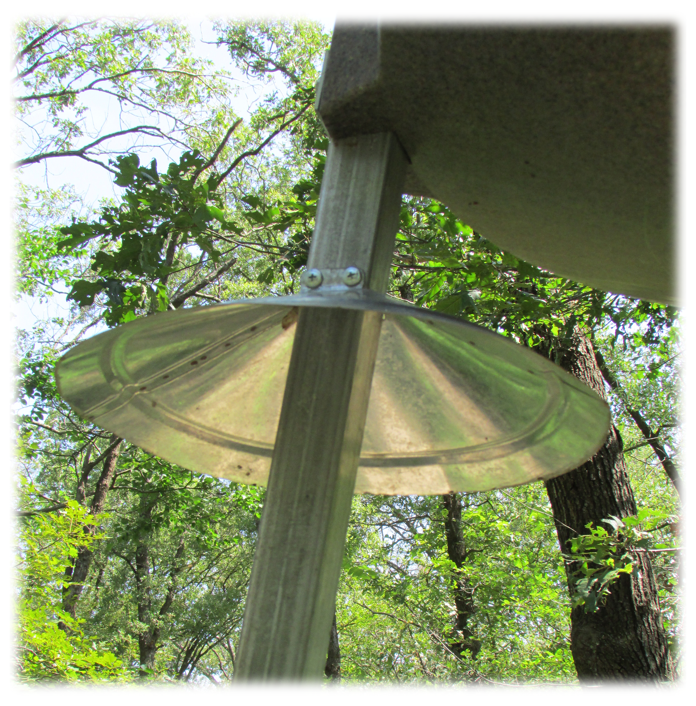 Boss Buck Squirrel Funnel Feeder Leg Guards