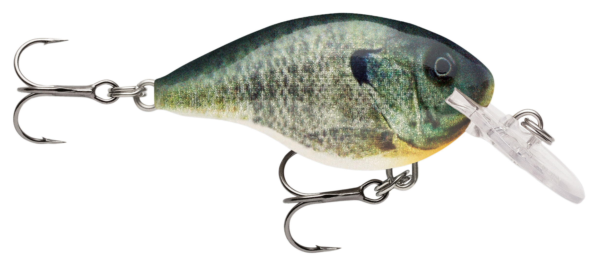 Image of Rapala DT Dives-To Series Crankbait - Live Bluegill - 2″ - 5/16 oz. - 4'