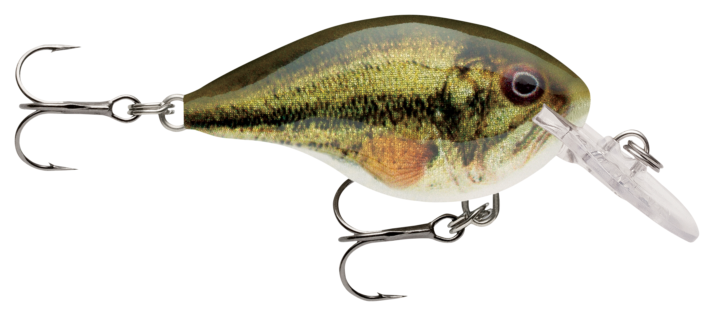 Image of Rapala DT Dives-To Series Crankbait - Live Largemouth Bass - 2″ - 5/16 oz. - 4'