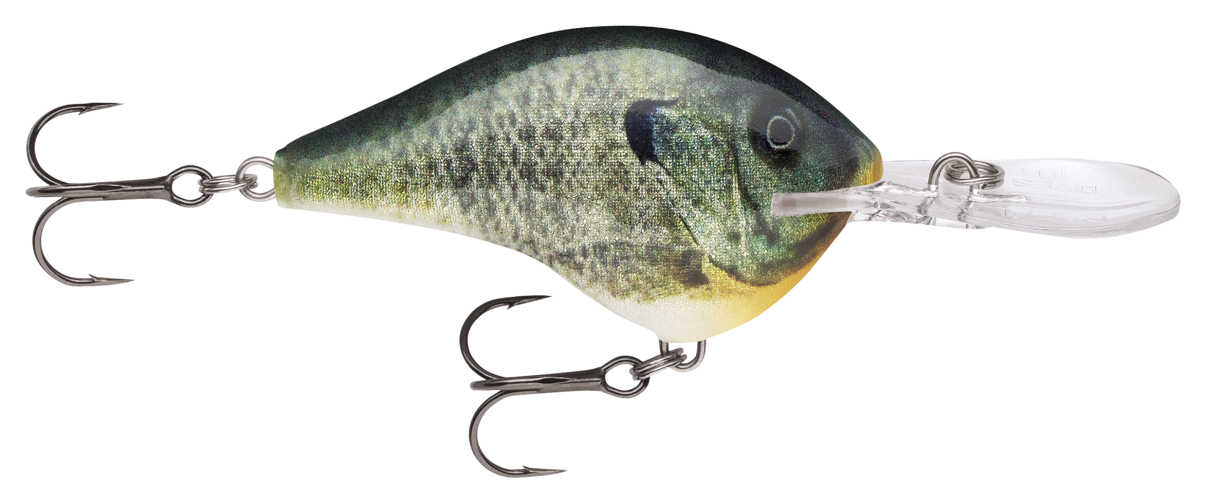 Image of Rapala DT Dives-To Series Crankbait - Live Bluegill - 2-1/4″ - 3/5 oz. - 10'