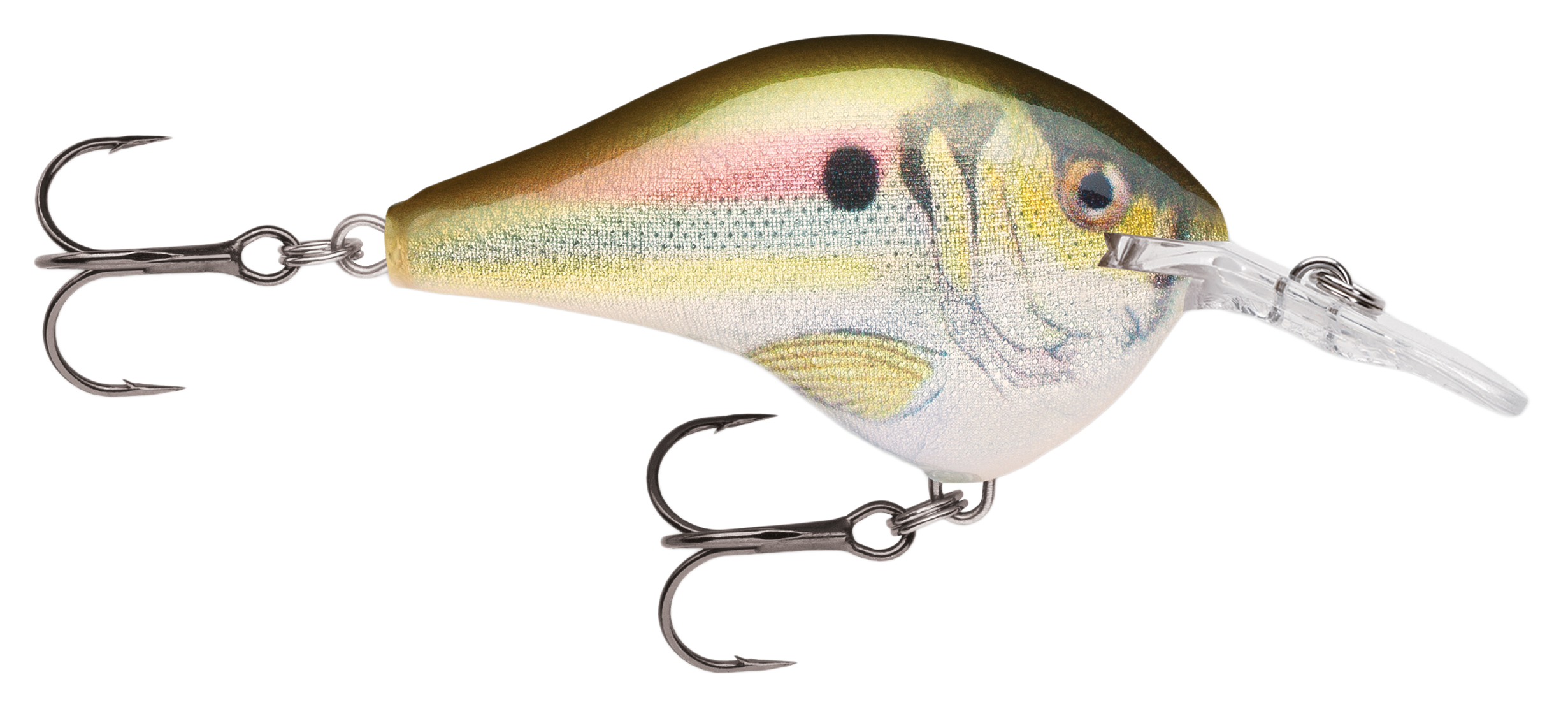 Image of Rapala DT Dives-To Series Crankbait - Live River Shad - 2-1/4″ - 3/5 oz. - 10'