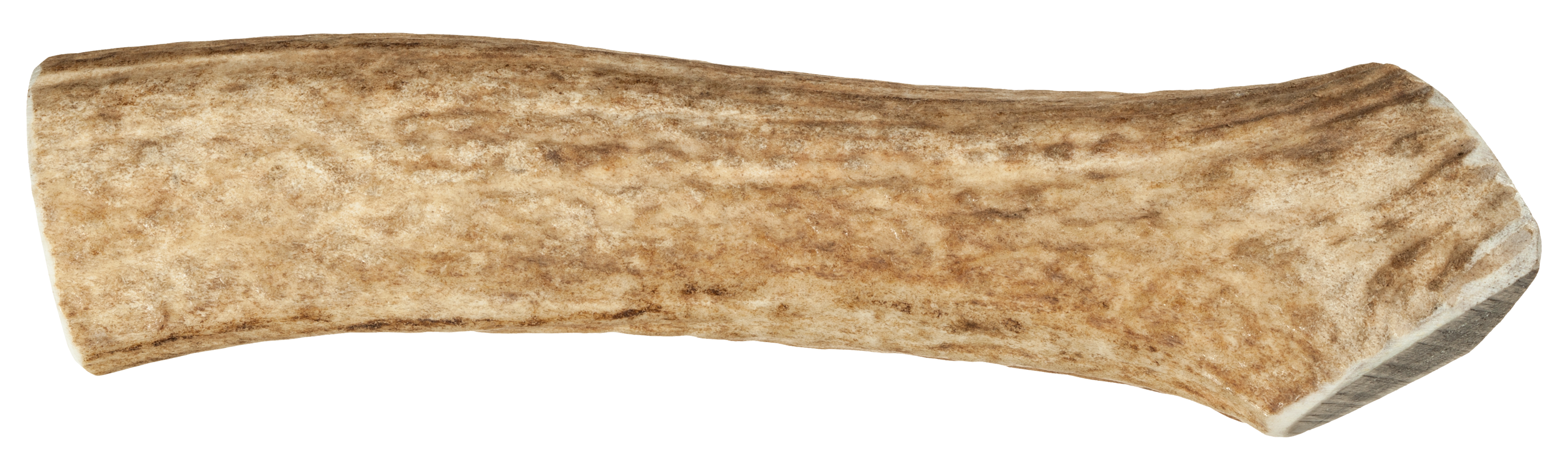 Scott Pet Products Big Sky Whole Antler Chew - Medium Antler Chew - Scott Pet