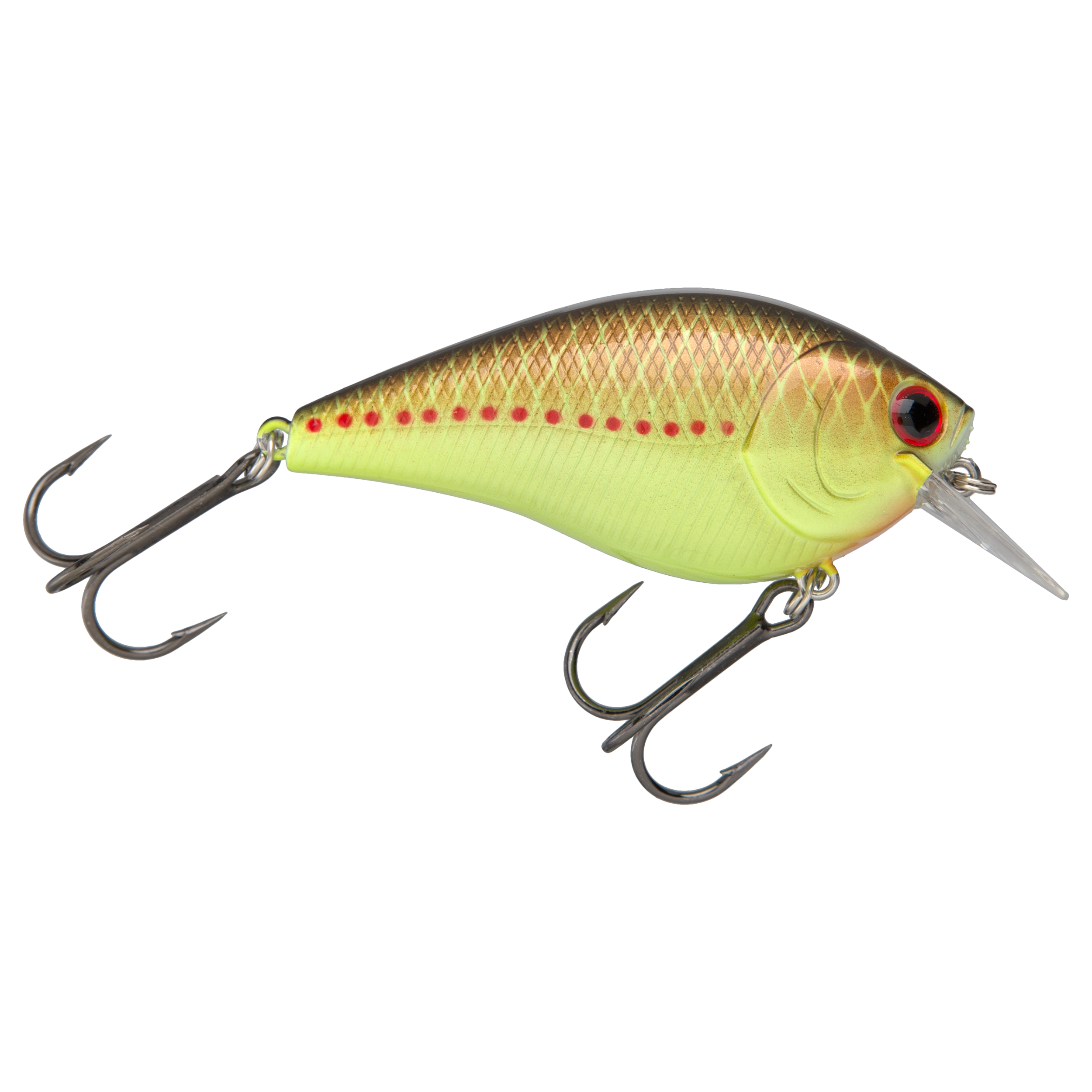 Lucky Craft Square Bill Crankbait - 5/8 oz. - Copper Perch