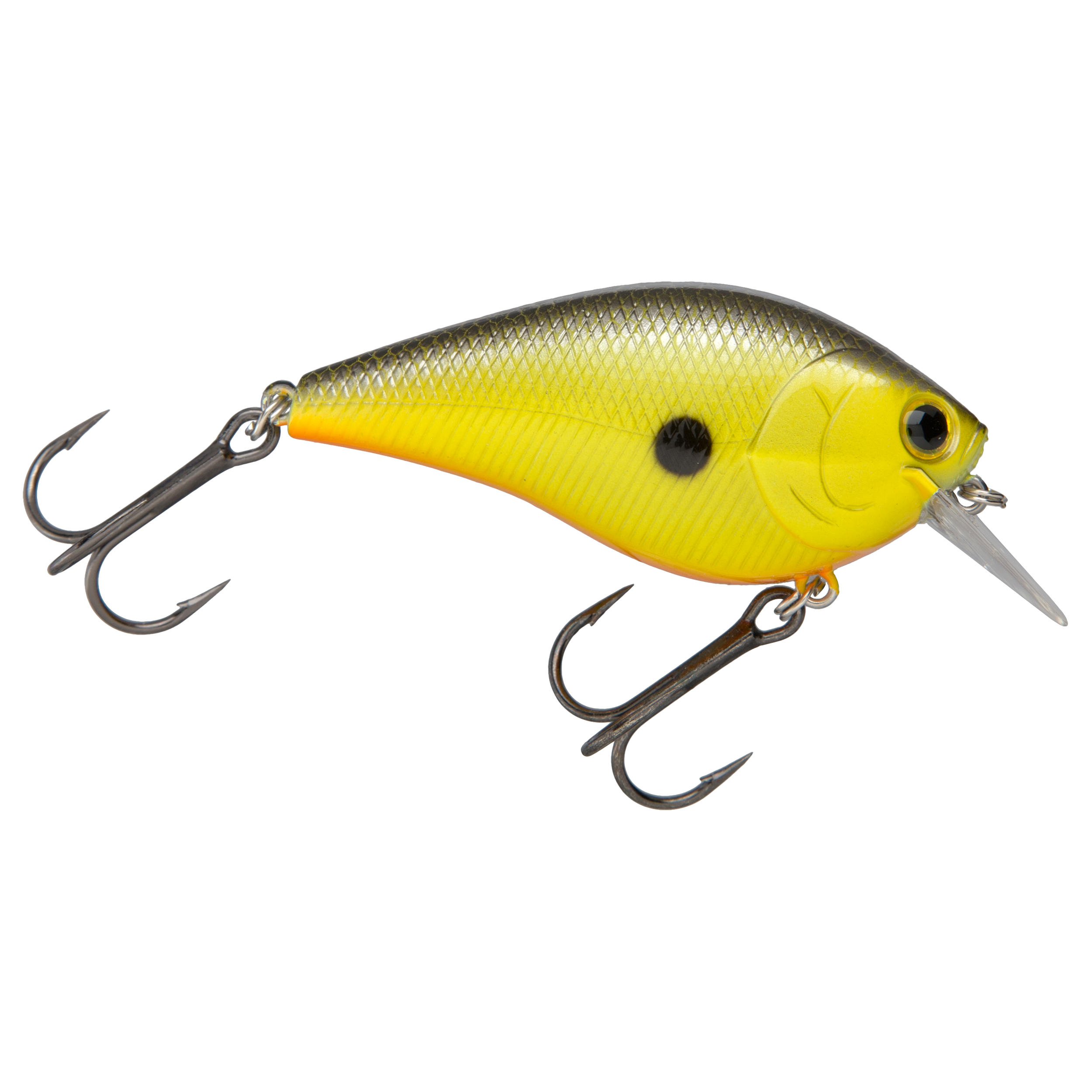 Lucky Craft Square Bill Crankbait - 5/8 oz. - Black Moss