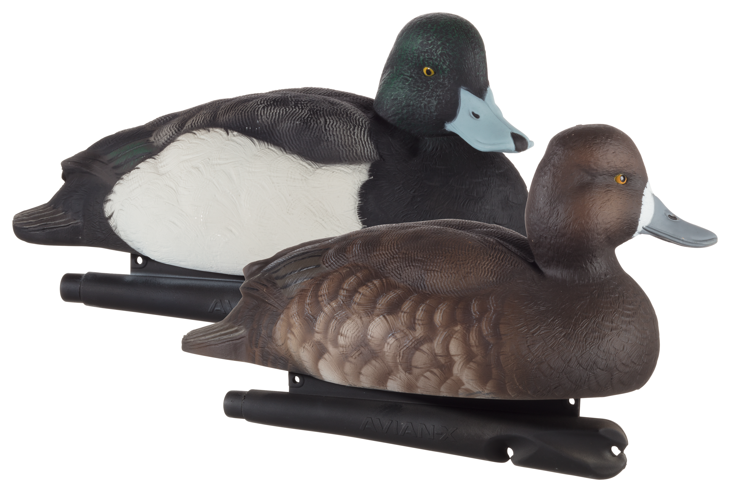 Avian-X Topflight Bluebill Duck Decoys - Avian-X