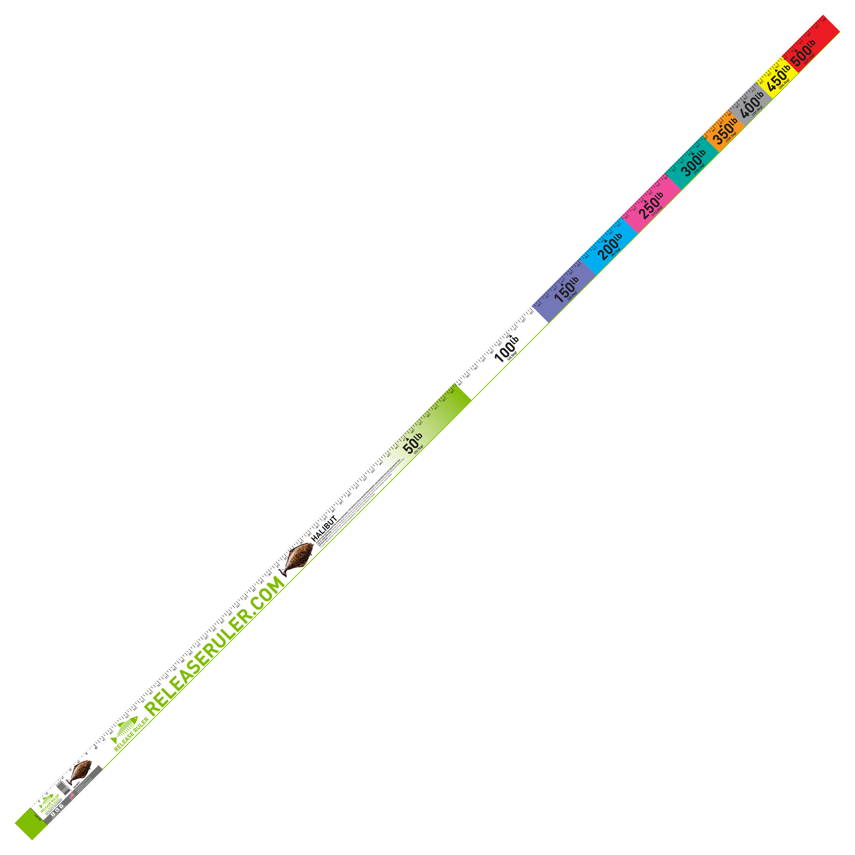 Release Ruler Halibut Ruler - 100 x 2