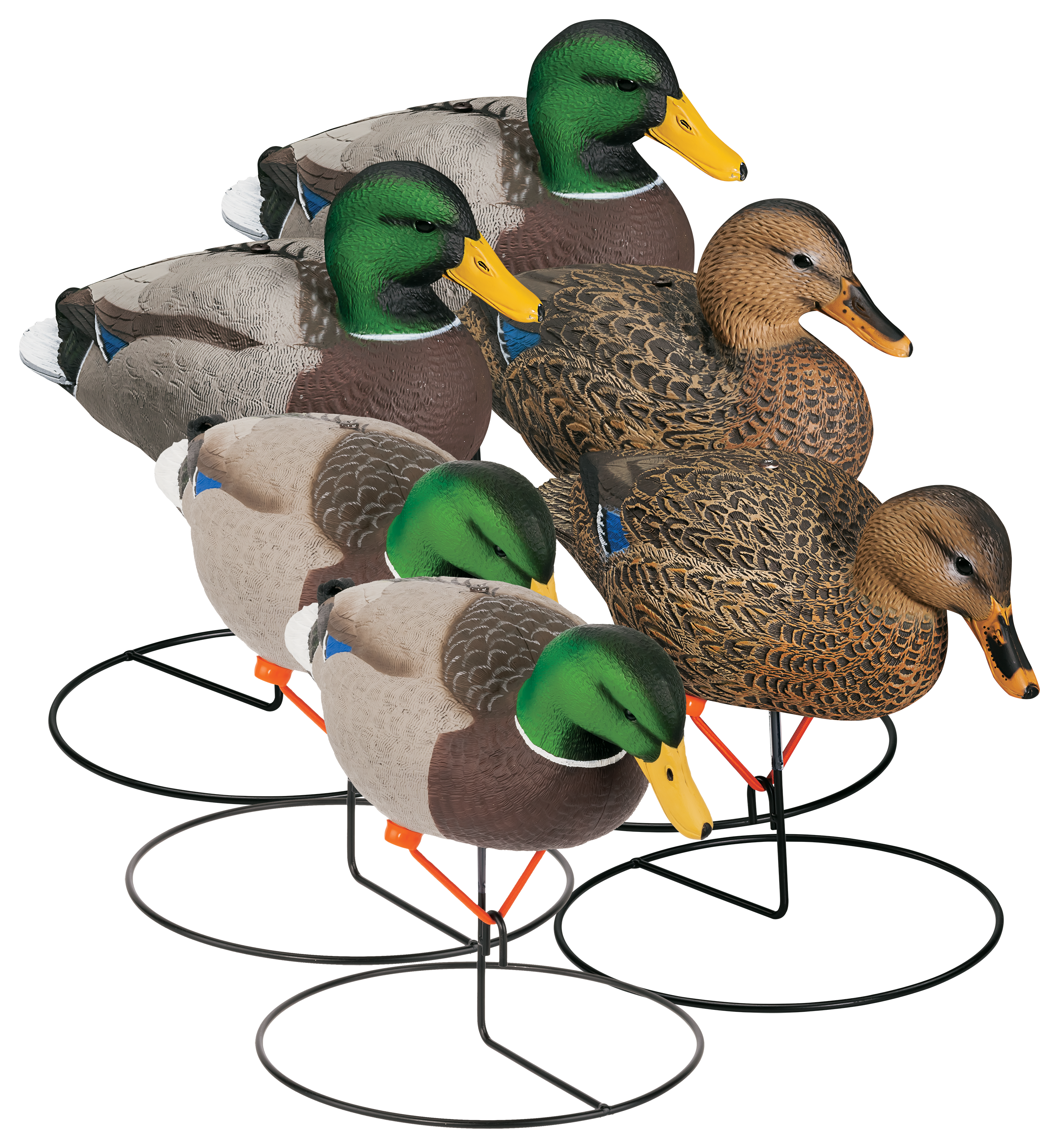 Northern Flight Full Body Mallard II Duck Decoys - Northern Flight