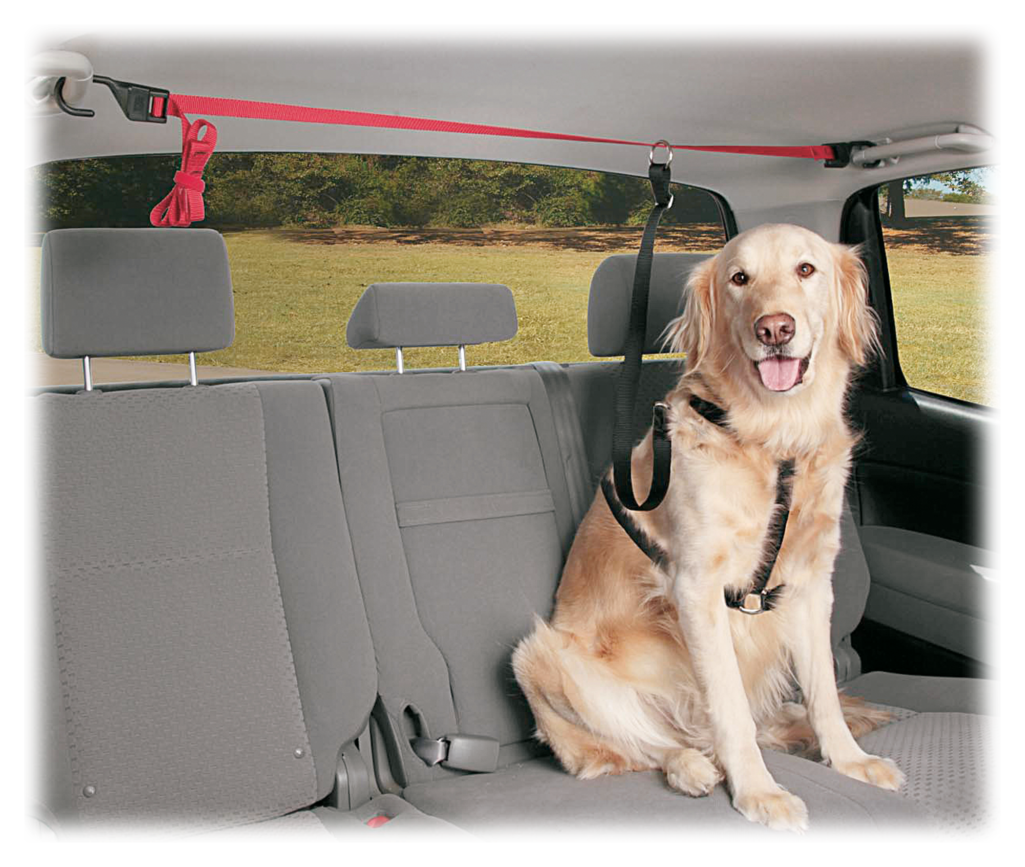 PetSafe Happy Ride PupZip Dog Vehicle Zipline - PetSafe