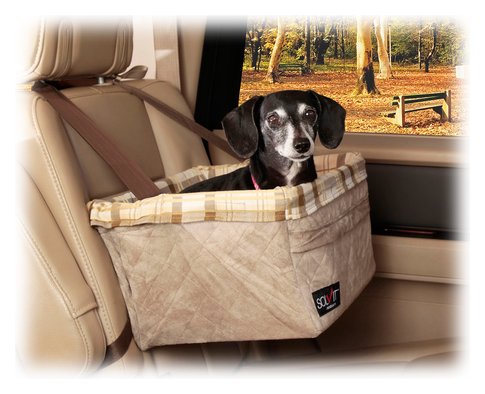 PetSafe Deluxe Tagalong Dog Booster Seat - X Large - PetSafe