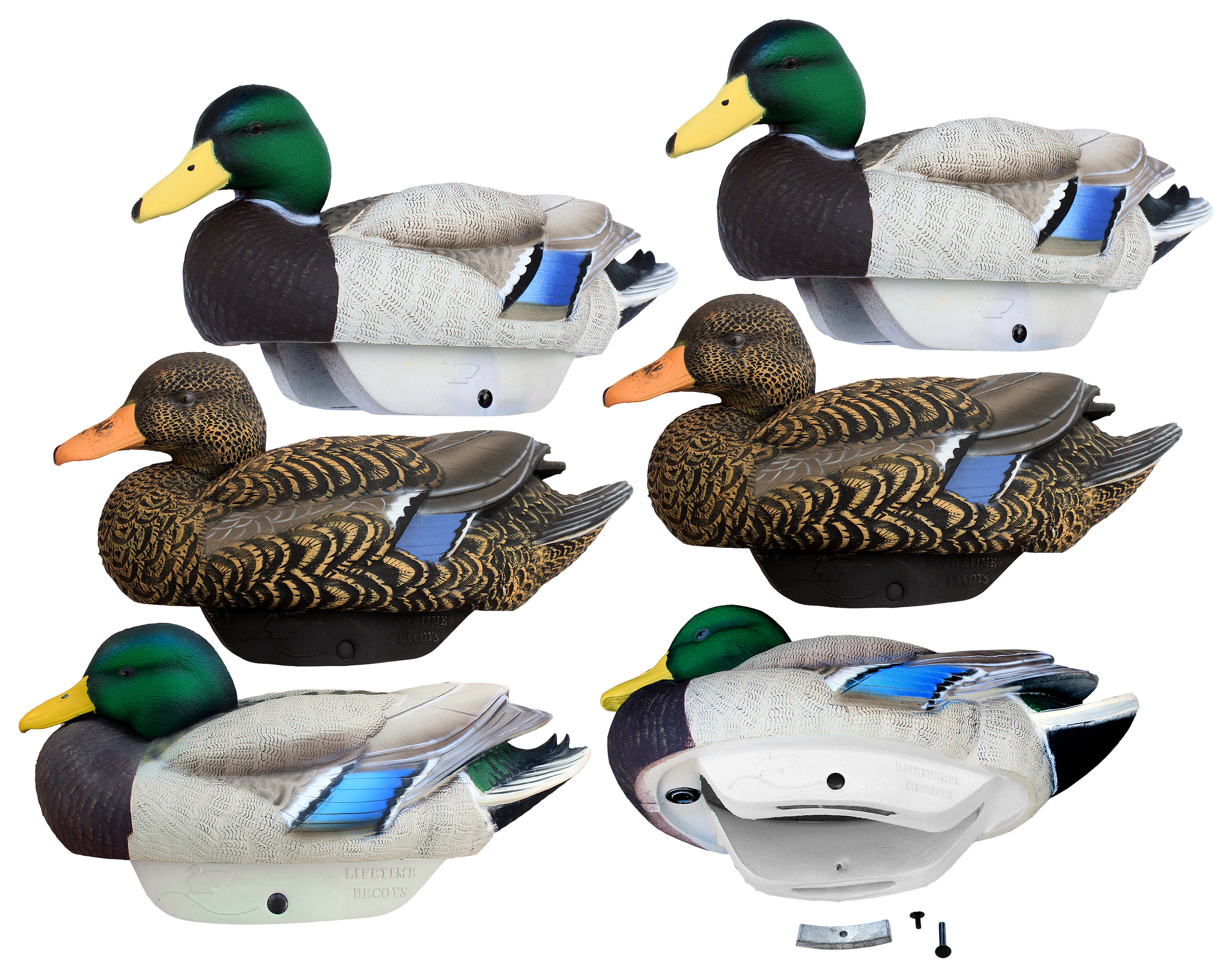 Lifetime Decoys FlexFloat Mallard Duck Decoys - Lifetime Decoys