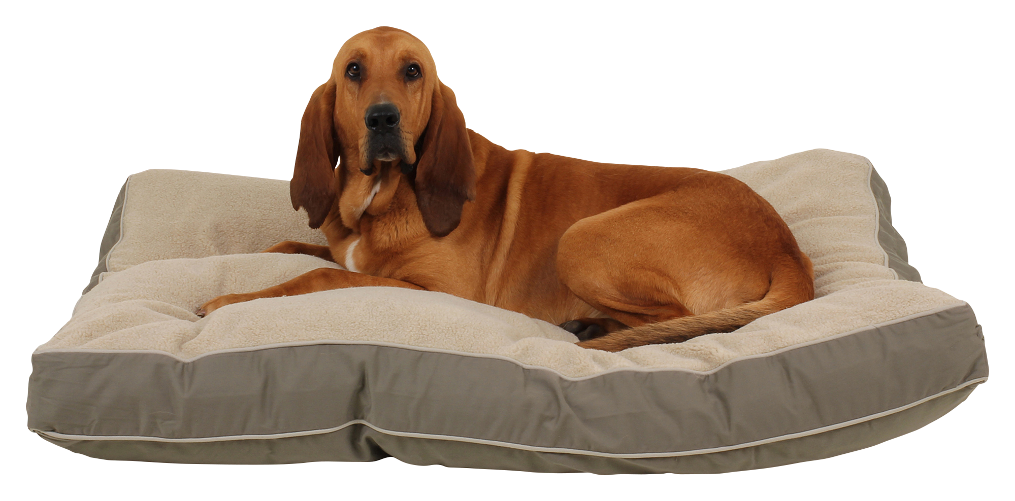 Carolina Pet 4-Season Jamison Rectangular Pet Bed with Cashmere Berber Top 