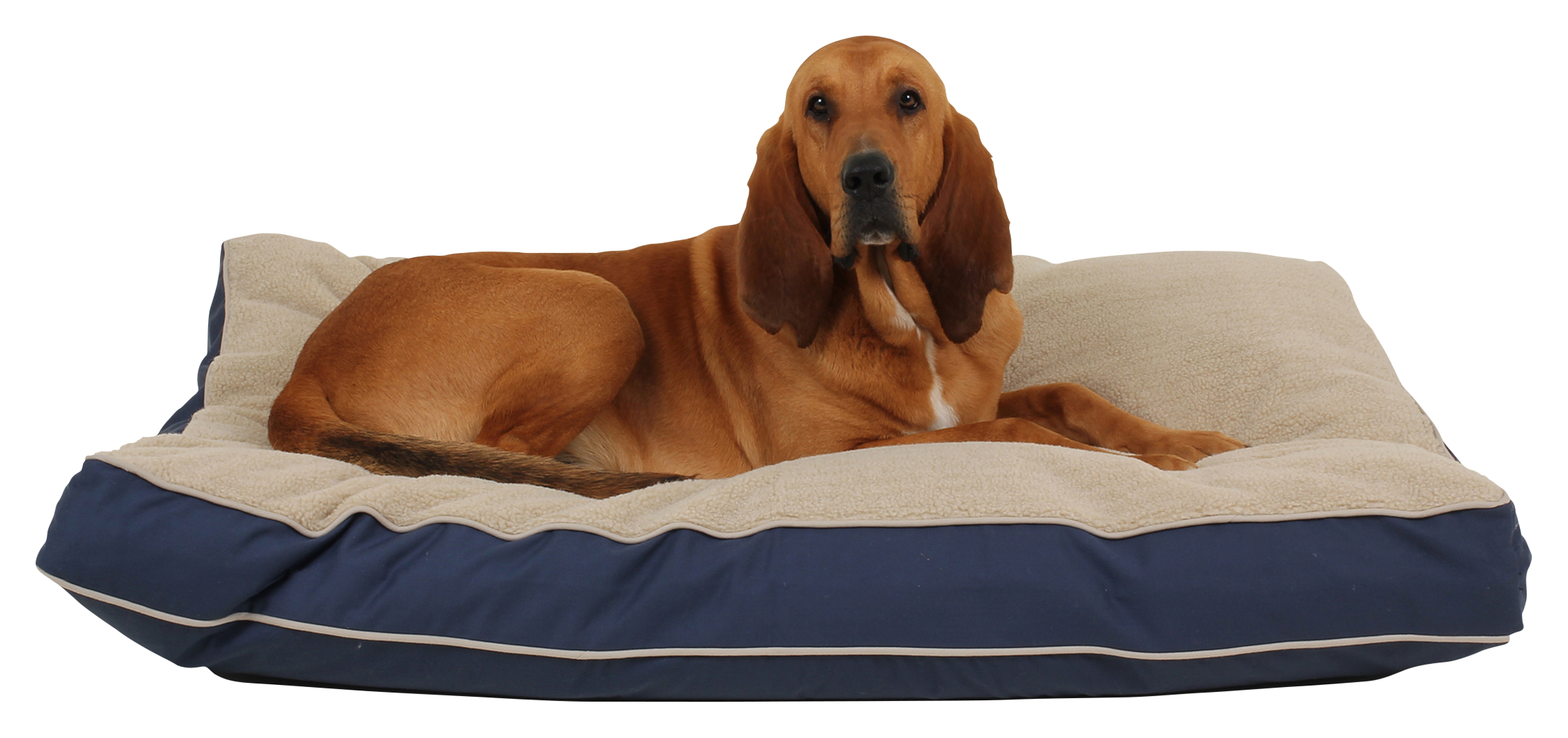 Carolina Pet 4-Season Jamison Rectangular Pet Bed with Cashmere Berber Top 