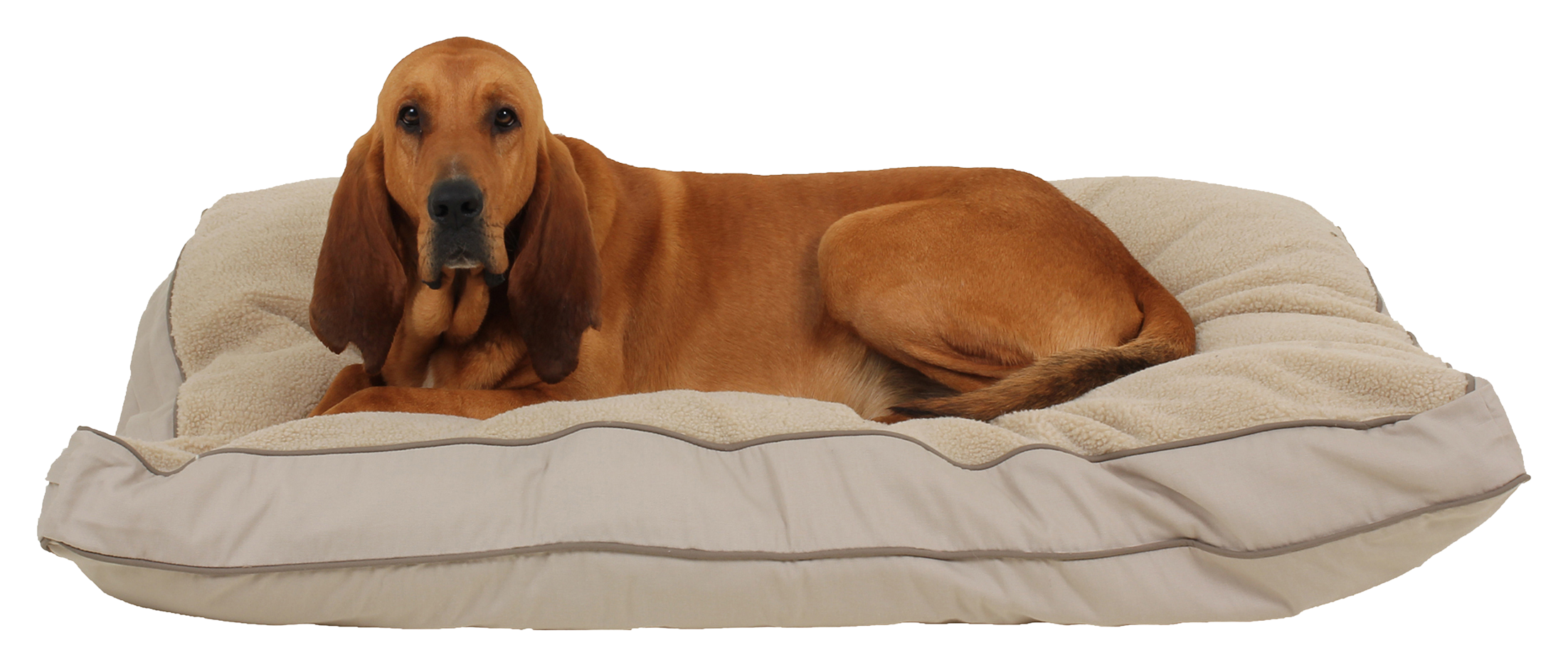 Carolina Pet 4-Season Jamison Rectangular Pet Bed with Cashmere Berber Top 
