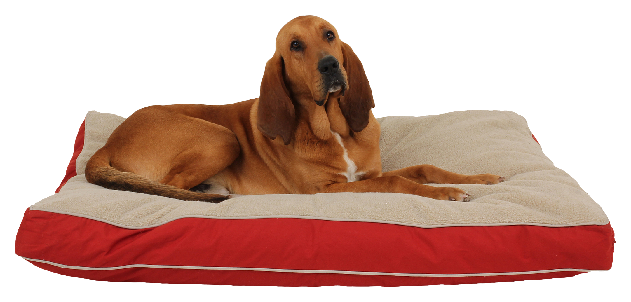 Carolina Pet 4-Season Jamison Rectangular Pet Bed with Cashmere Berber Top 