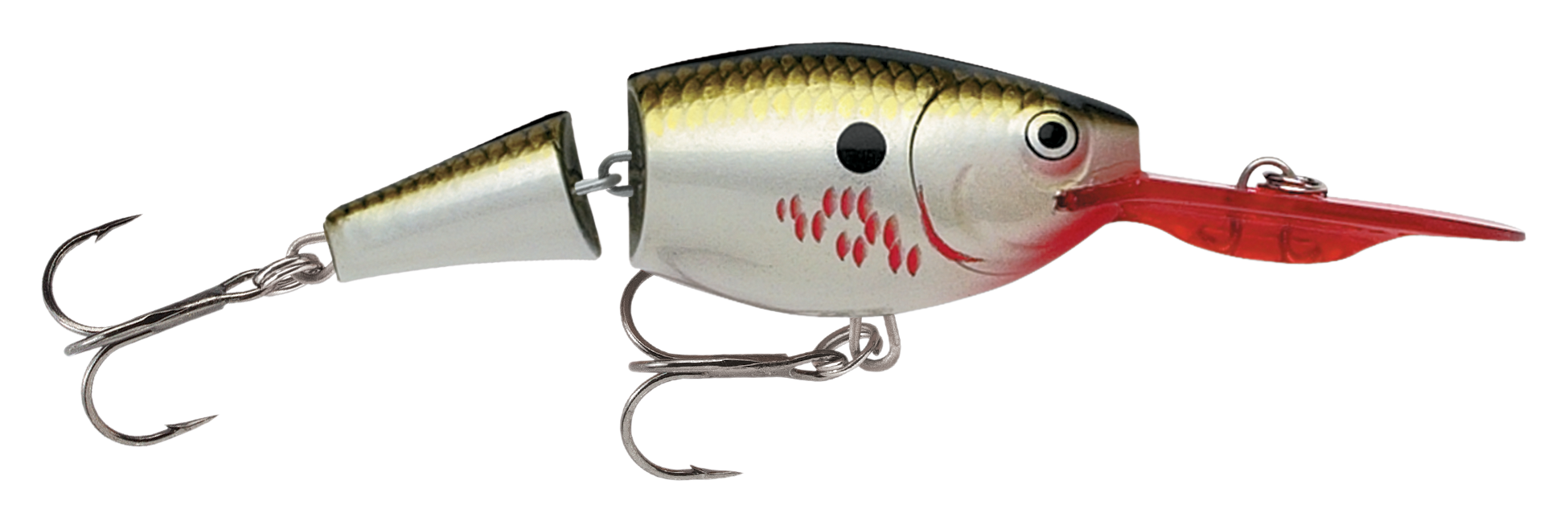 Image of Rapala Jointed Shad Rap - JSR04 - 1-1/2' - Bleeding Olive Flash