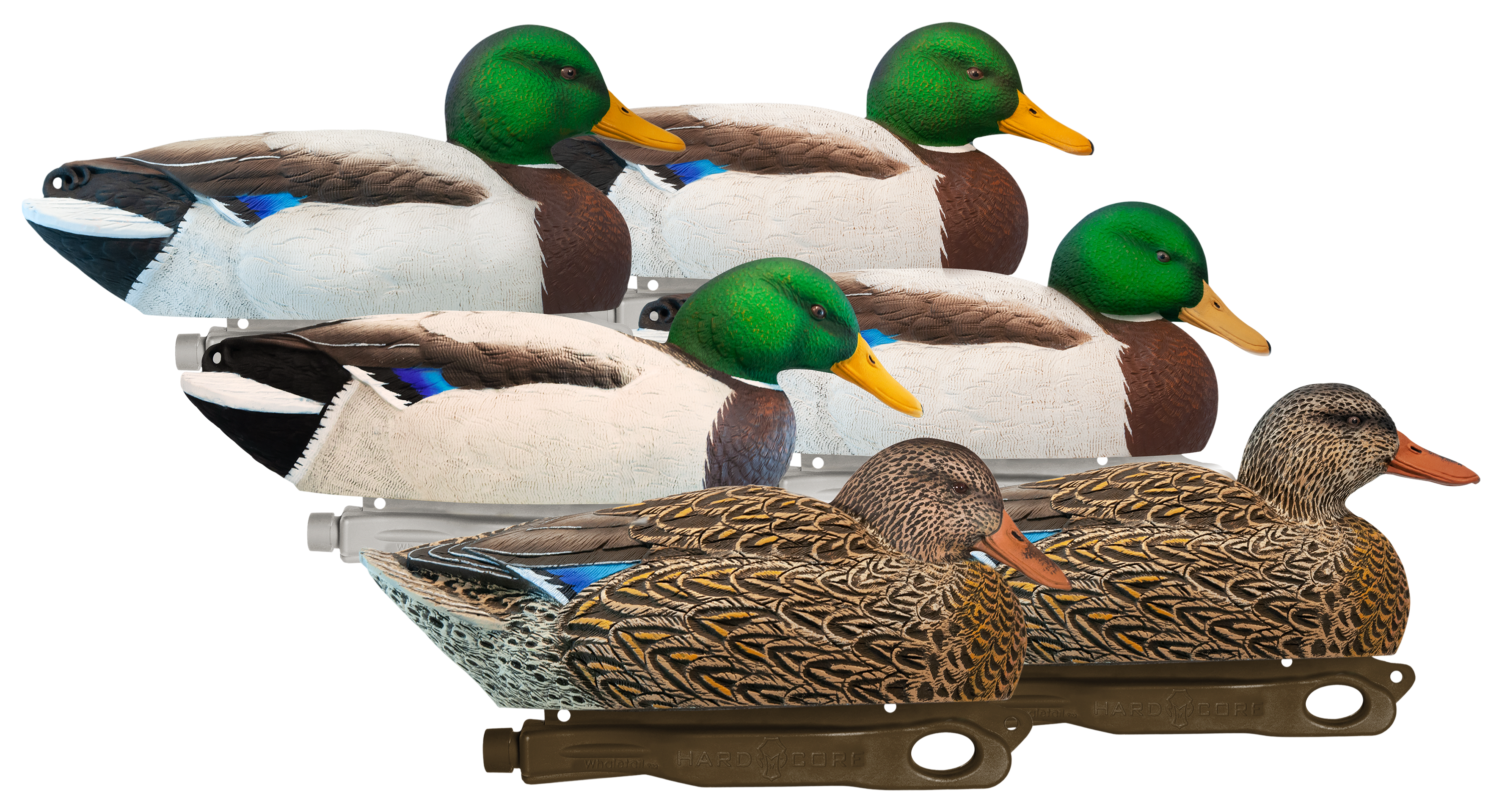 Hardcore Decoys Rugged Series Redlegs Mag Mallard Floater Duck Decoys - Hardcore